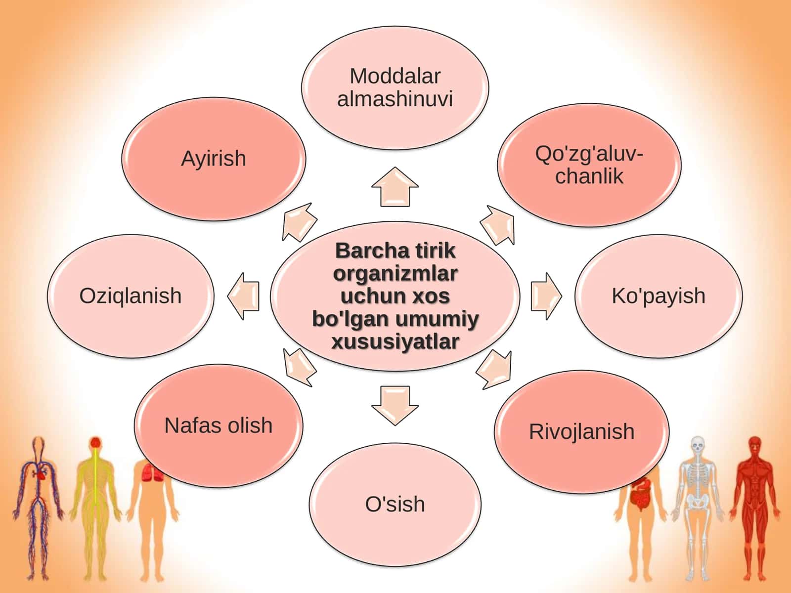 Hujayra va Organizmlarning Hayotiy Xossalari (Biologiya Taqdimot) 2