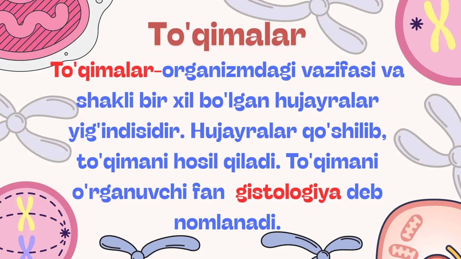 Anatomiya 4-dars 2