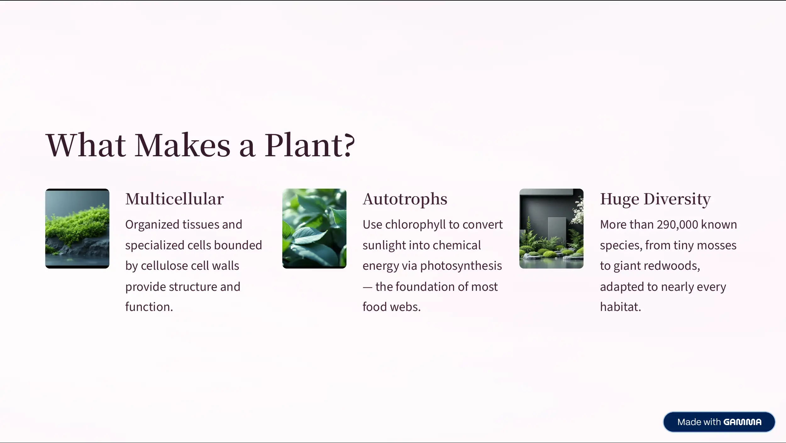 Essential Plant Parts 2