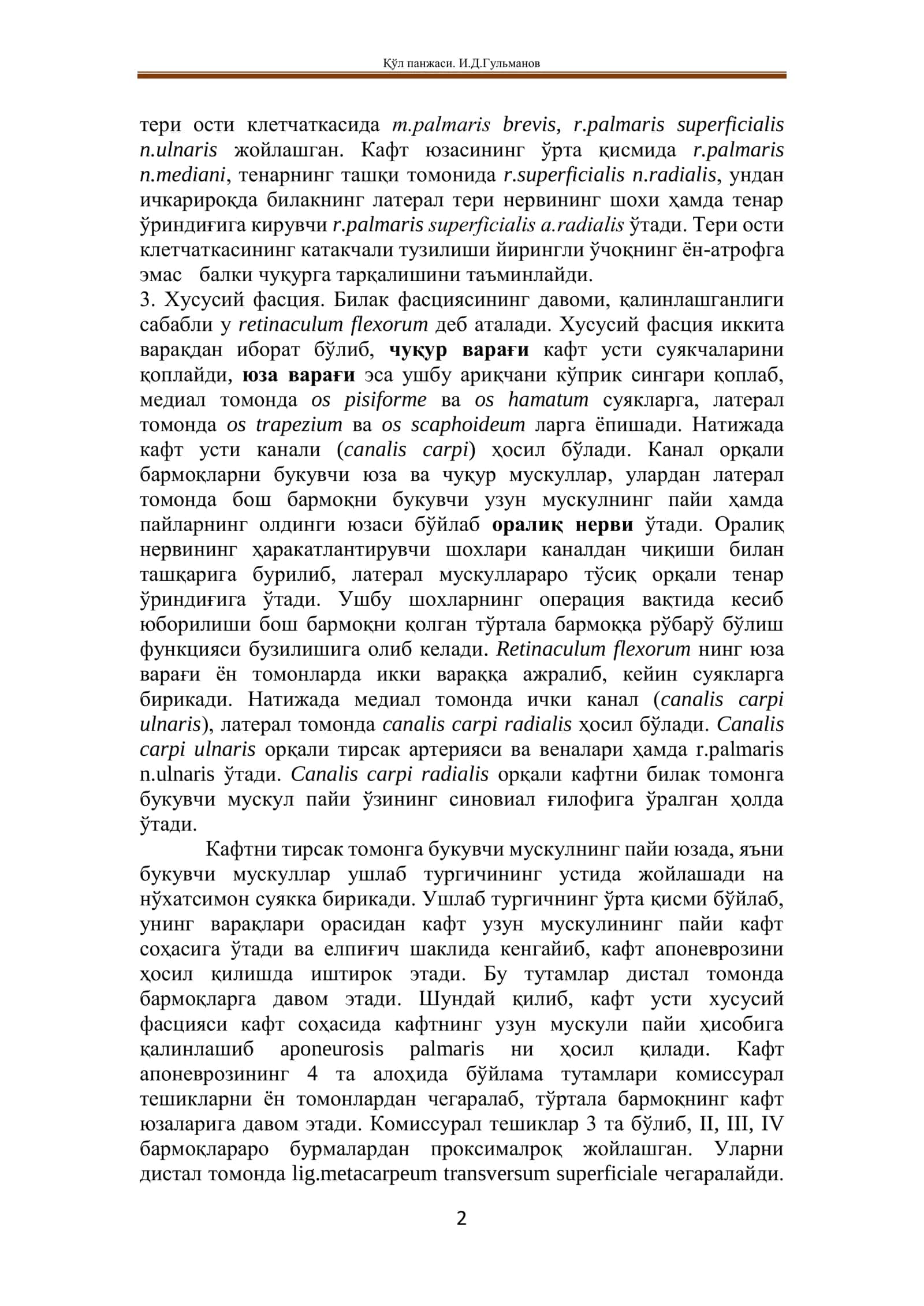 ТОПОГРАФИК АНАТОМИЯСИ 2