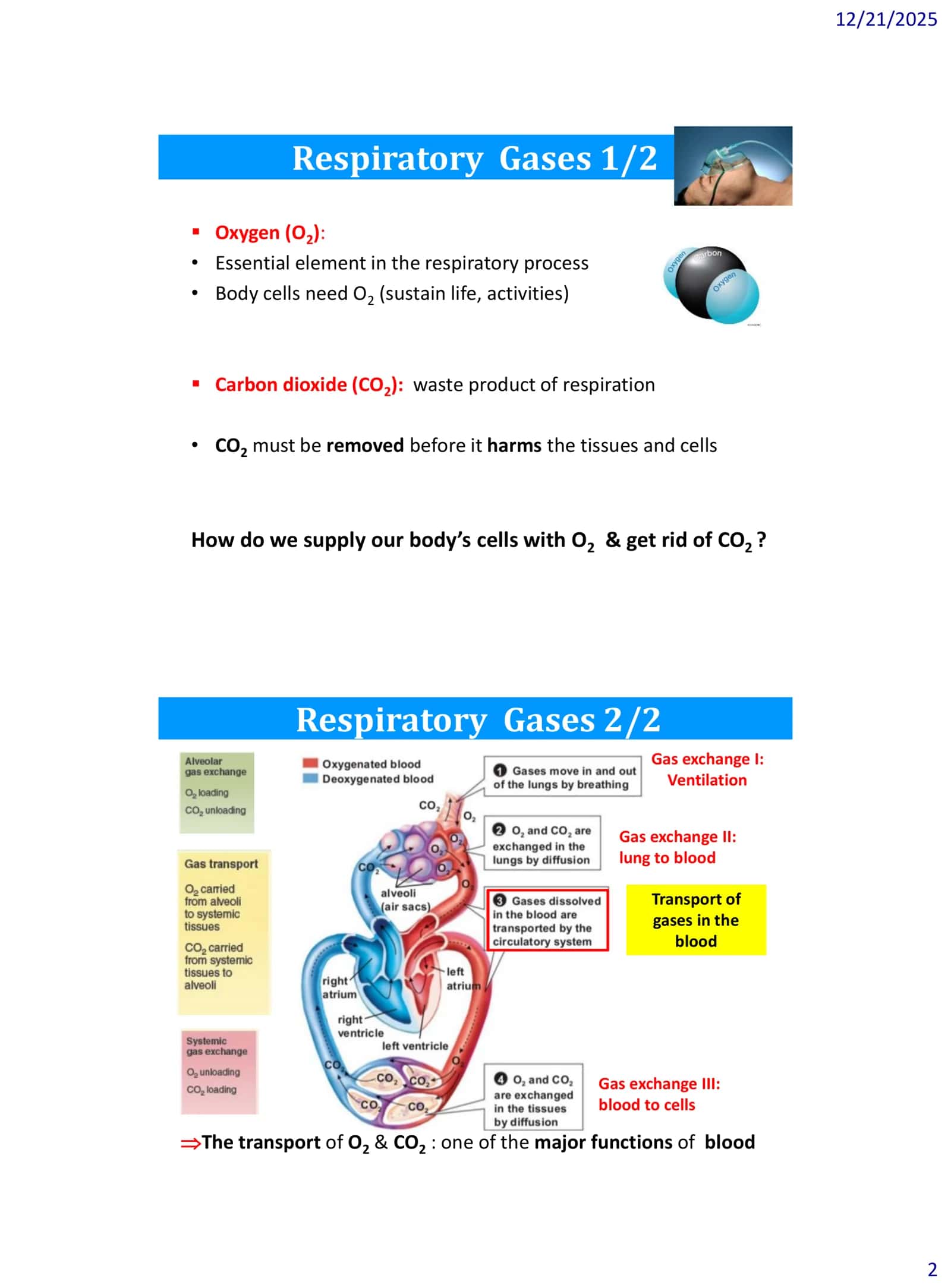 Respiratory Gases 2