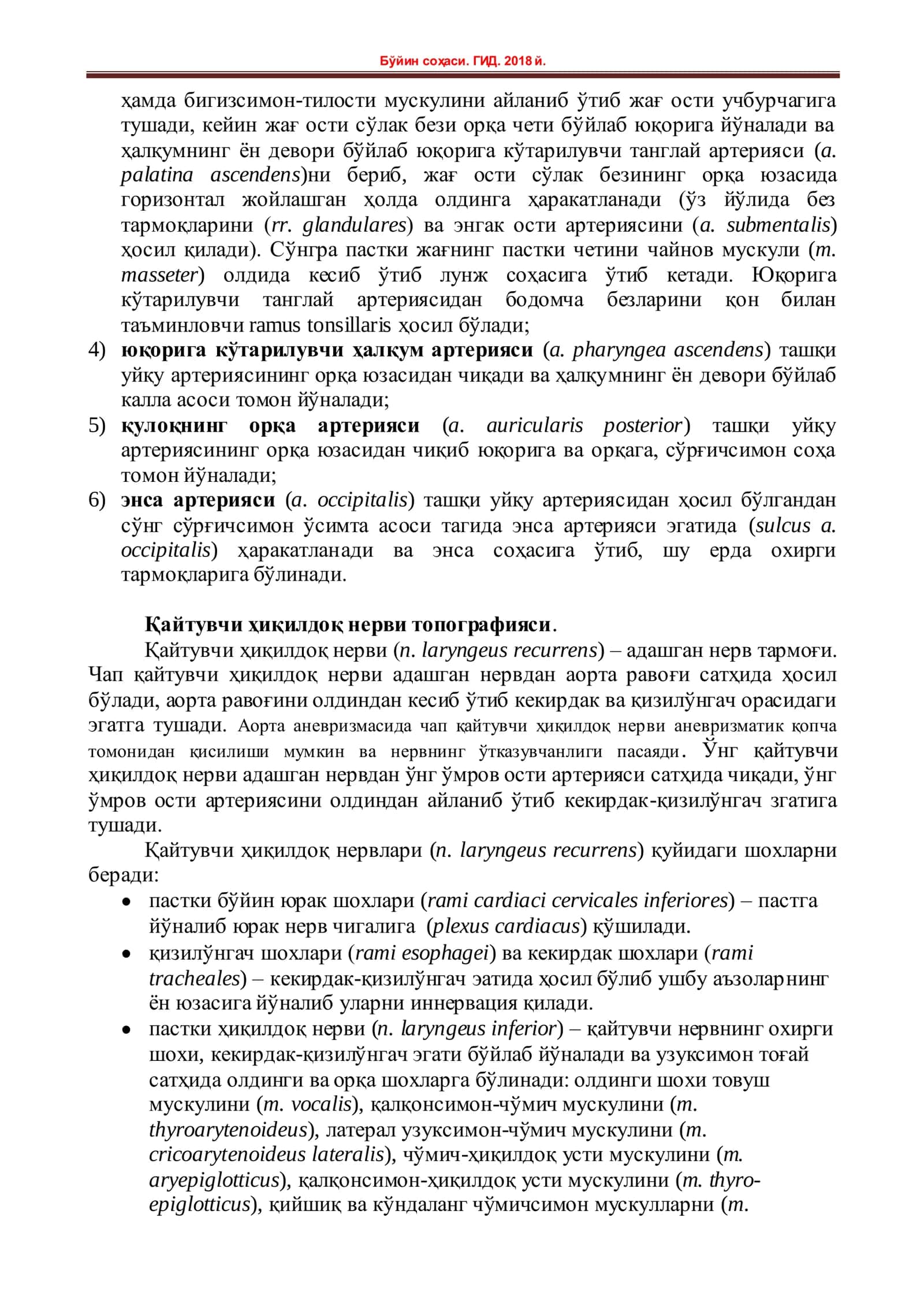 БЎЙИННИНГ МЕДИАЛ ҚОН ТОМИР-Бўйин соҳаси  НЕРВЛАРИ ТОПОГРАФИЯСИ 2