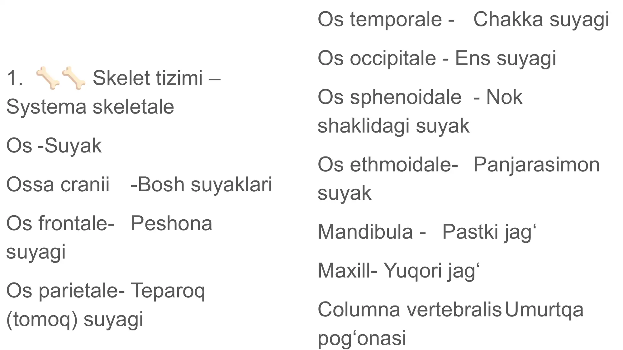 Anatomik lug’atlar 2