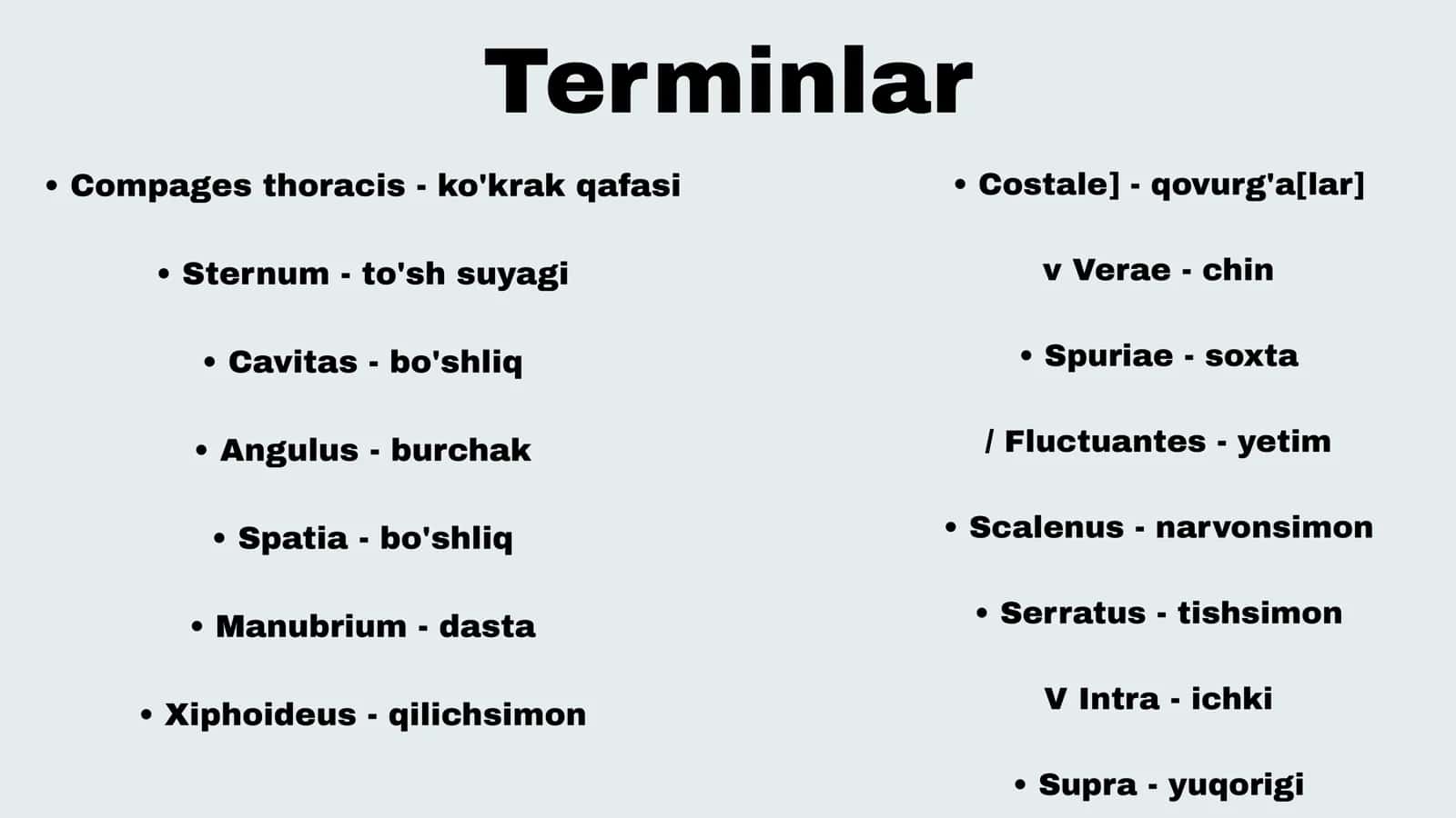 Ko’krak qafasi 2
