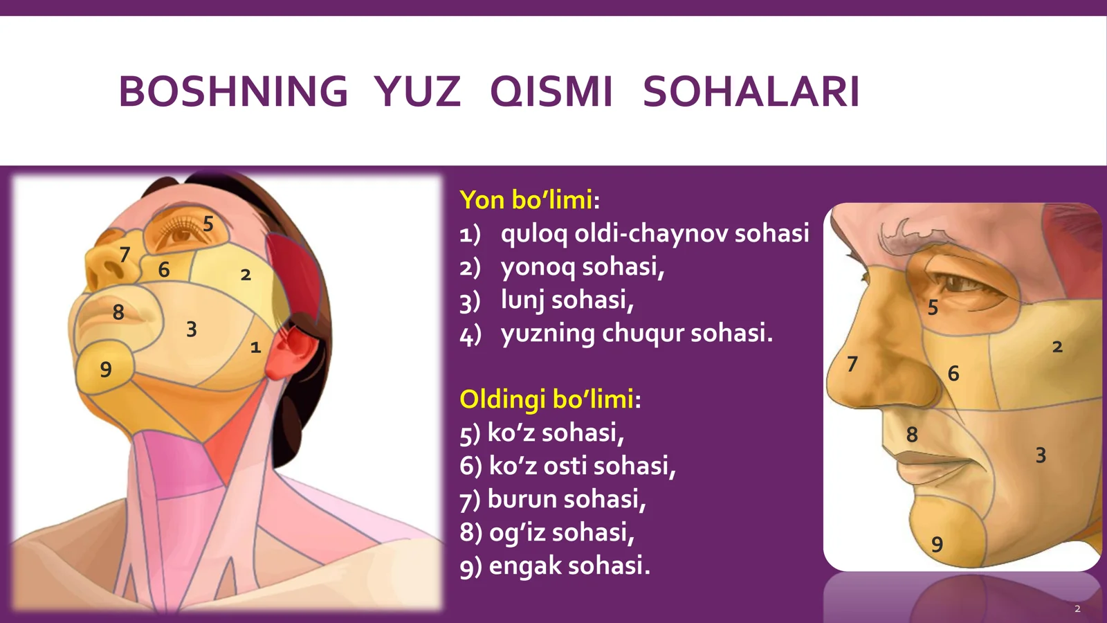 KLINIK ANATOMIYASI 2
