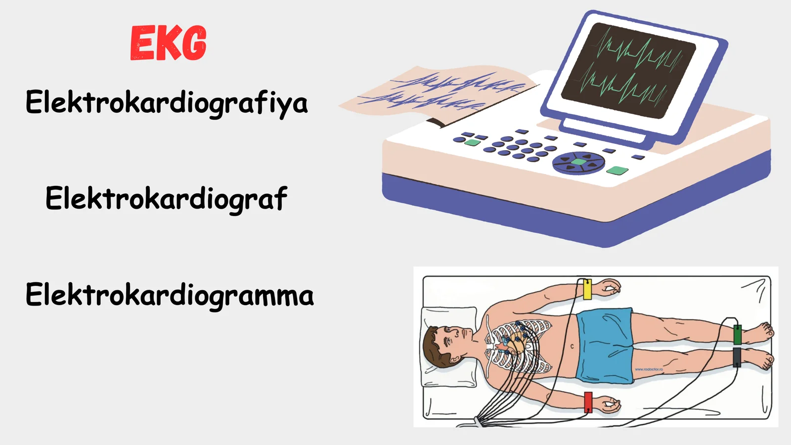 Elektrokardiografiya darslari 2