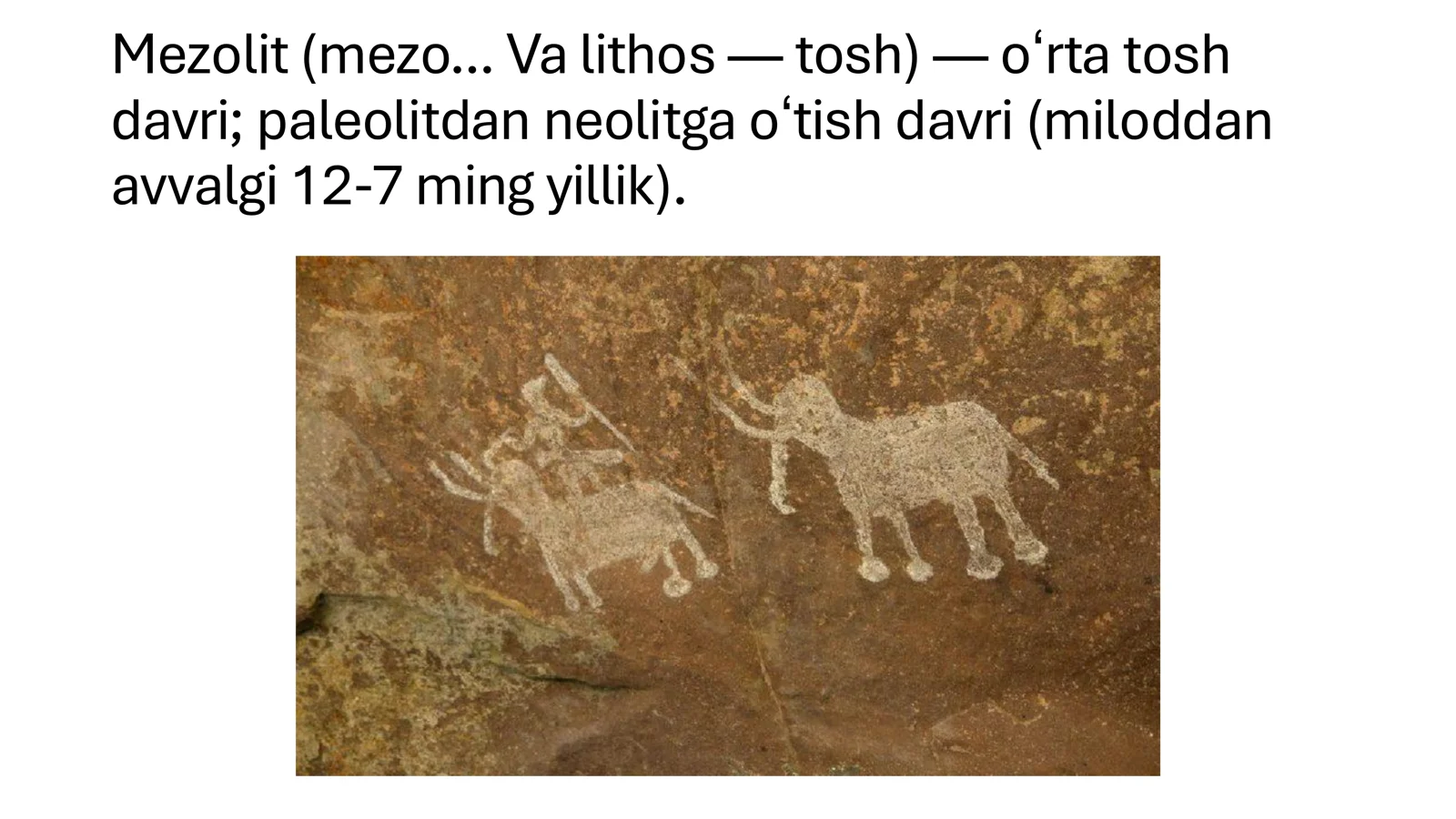 Mezolit davri manzilgohlari 2