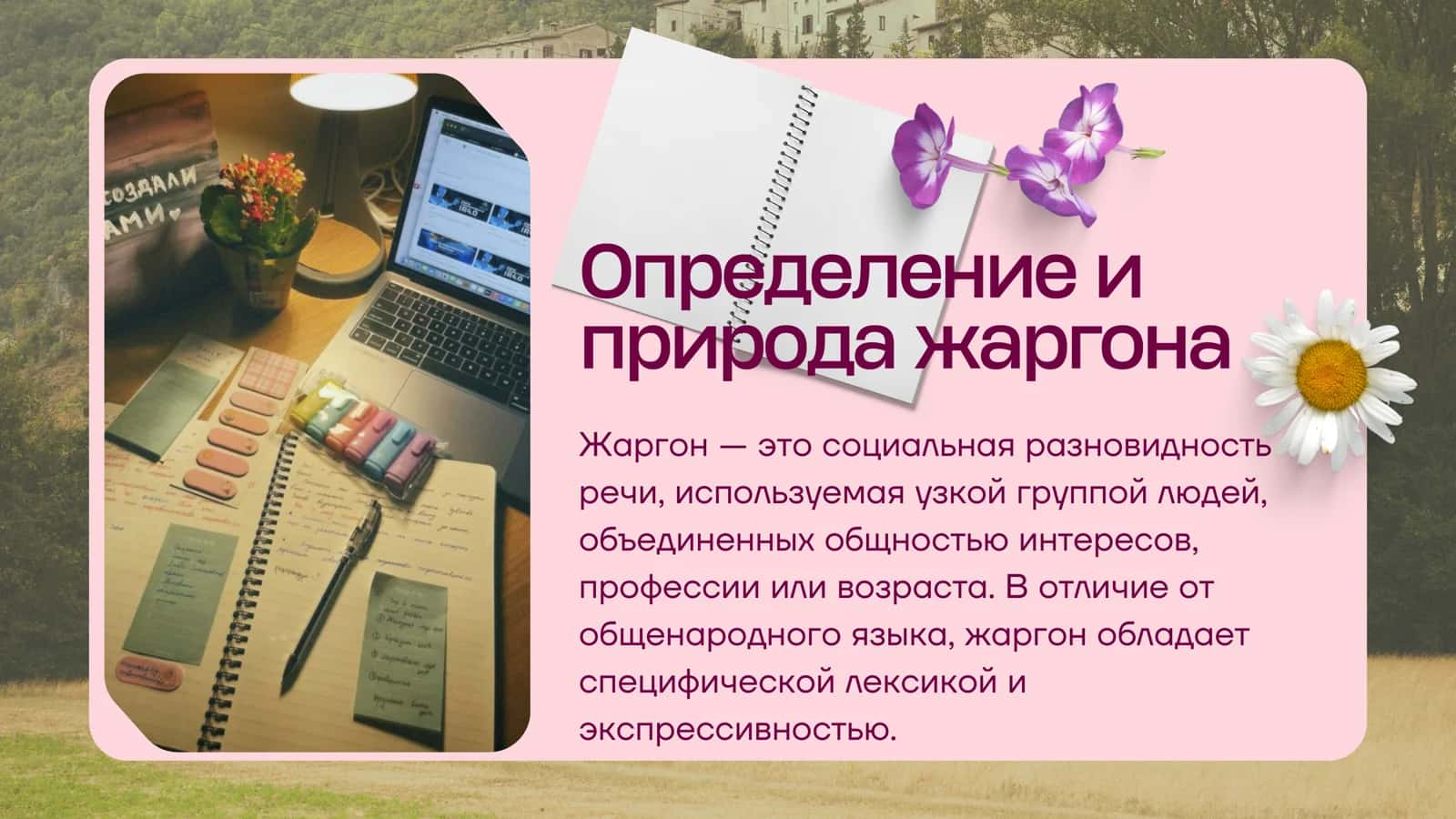 Роль жаргонов в литературном языке 2
