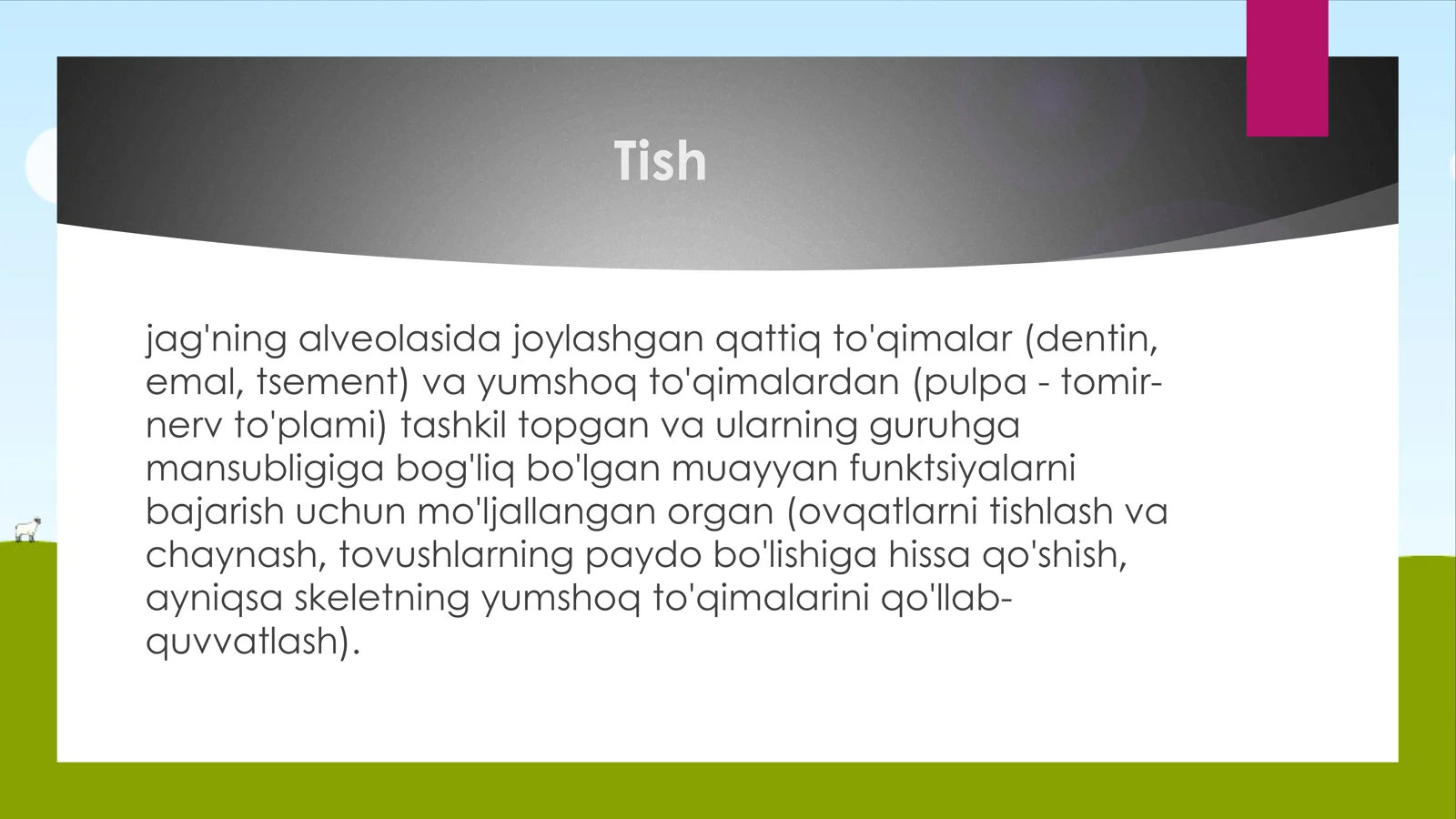 Tish haqida maʼlumot va Tishning Anatomik va Gistalogik tuzilishi 2