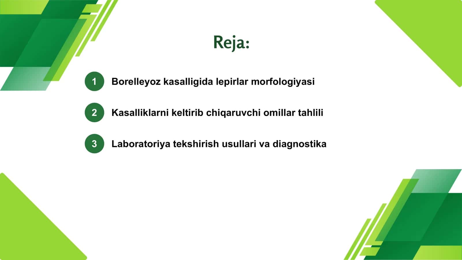 Borelleyoz kasalligida lepirlar morfologiyasi 2