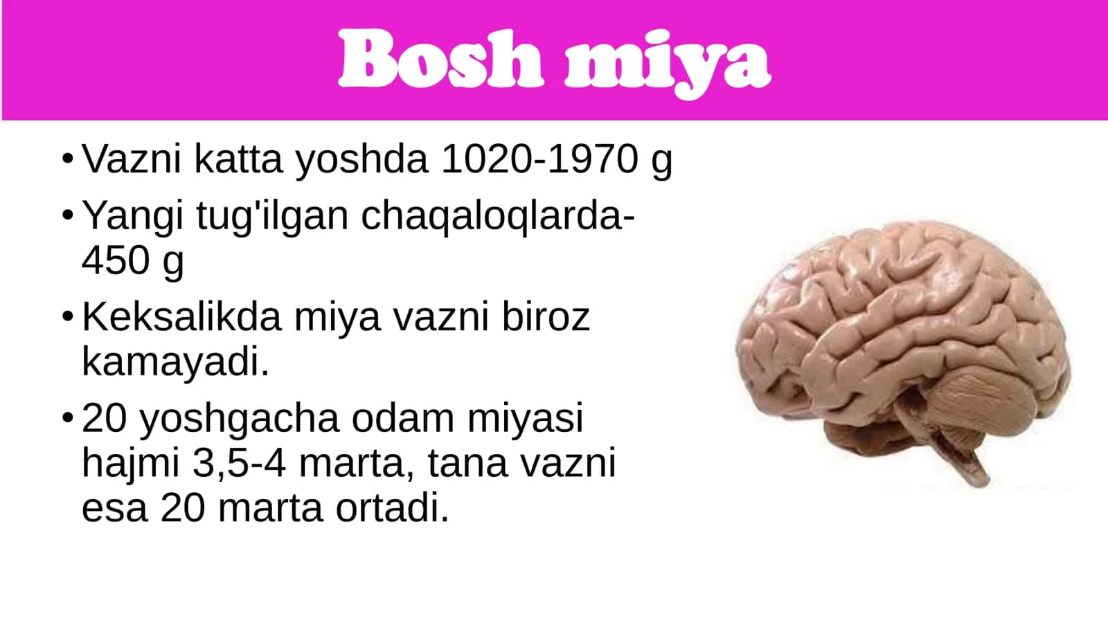 8-Sinf Biologiya: “Bosh Miyaning Tuzilishi va Funksiyasi” Taqdimot 2