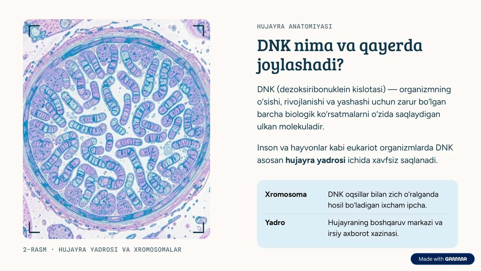 DNK: hayotning axborot kodi Biologiya darsi · 9-sinf o‘quvchilari uchun qo‘llanma 2