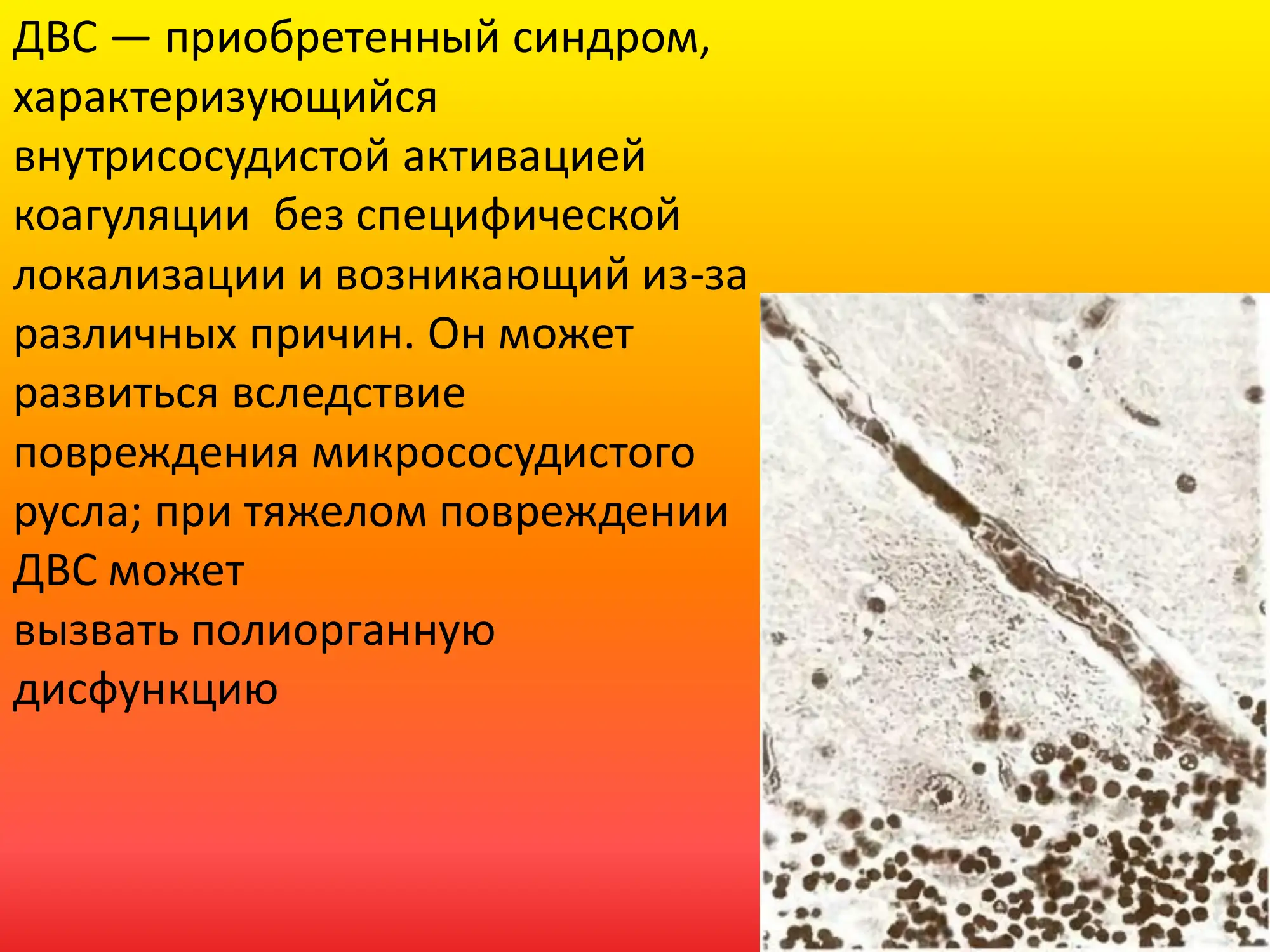 - Tags (comma-separated): 2