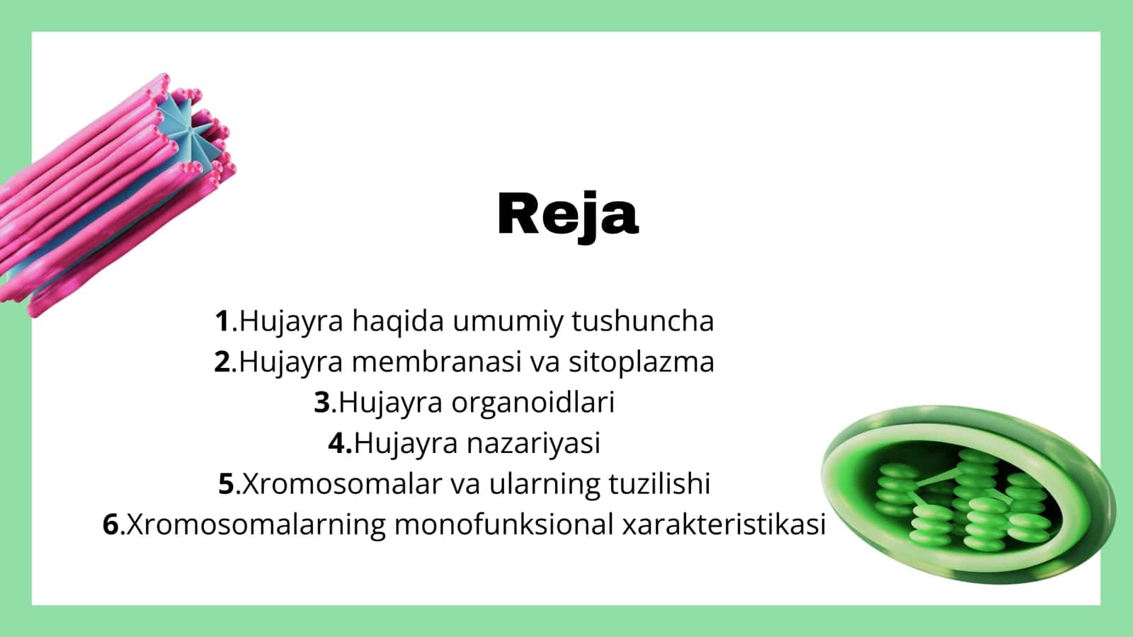 Hujayra va uning nazariyasi 2