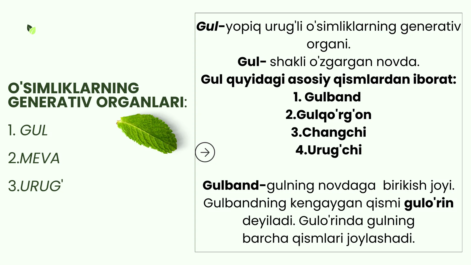O'Simliklarning Generativ Organlari 2