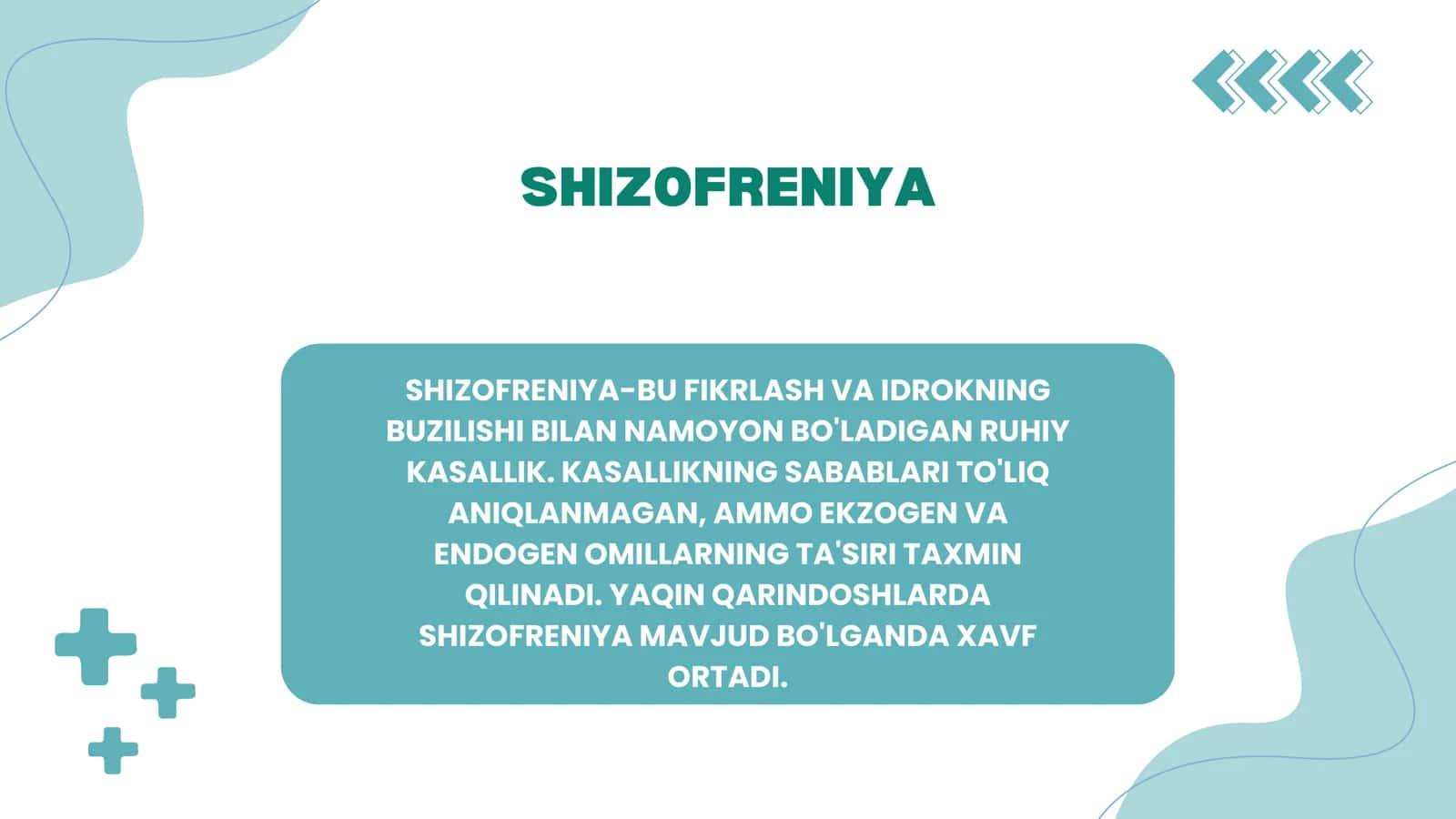 Shizofreniya 2