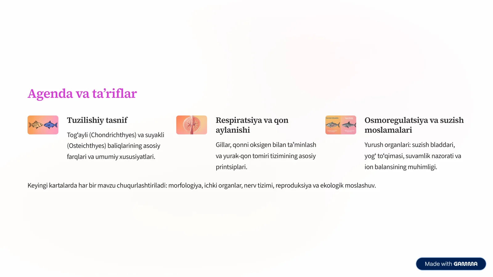 Tog»ayli va suyakli baliqlarning morfologik va fiziologik tuzilishi 2