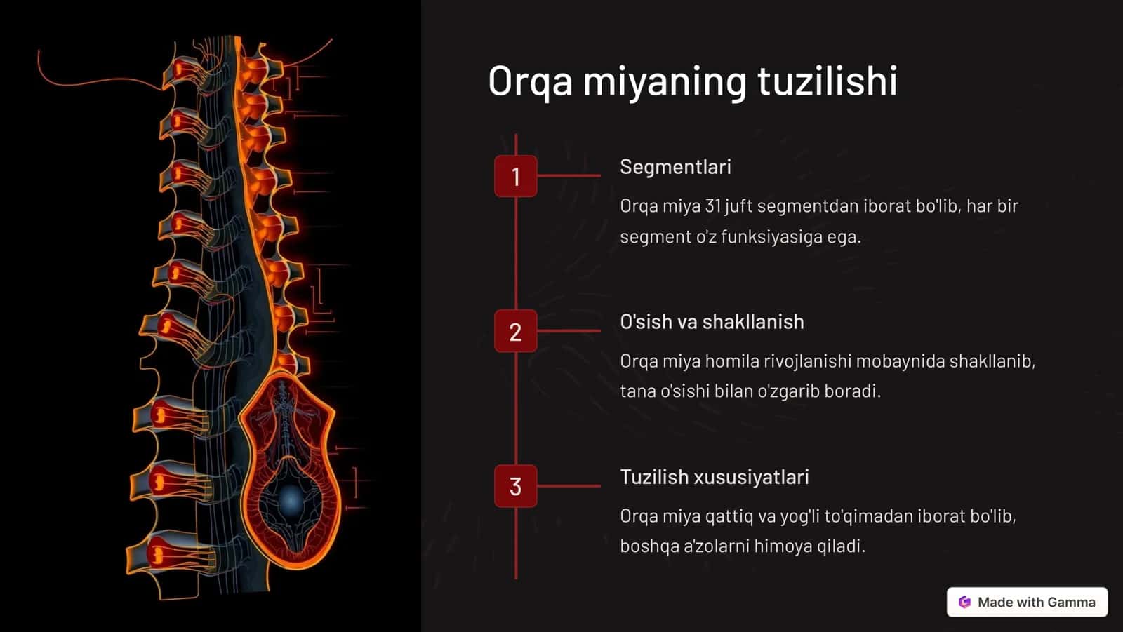 Orqa miya 2