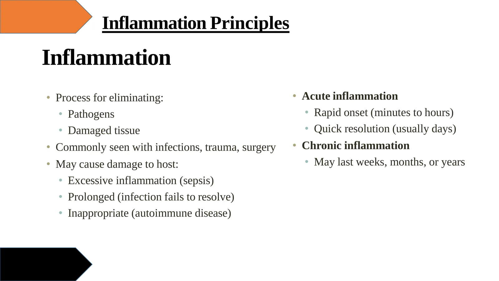 Inflammation Principles 2