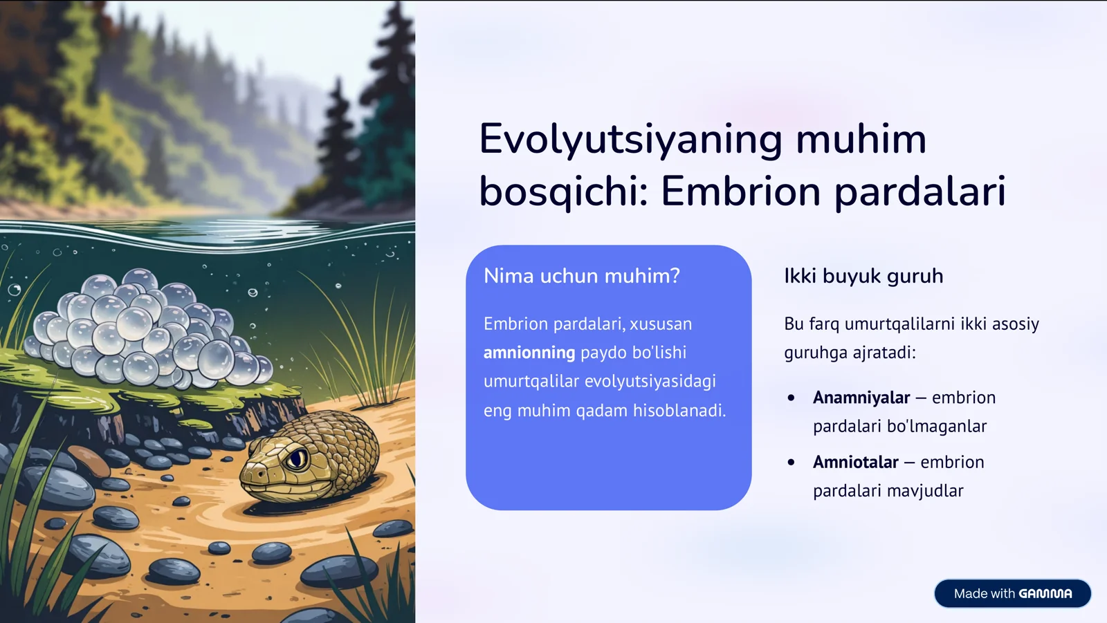 Umurtqalilar dunyosi: Anamniyalar va Amniotalar 2