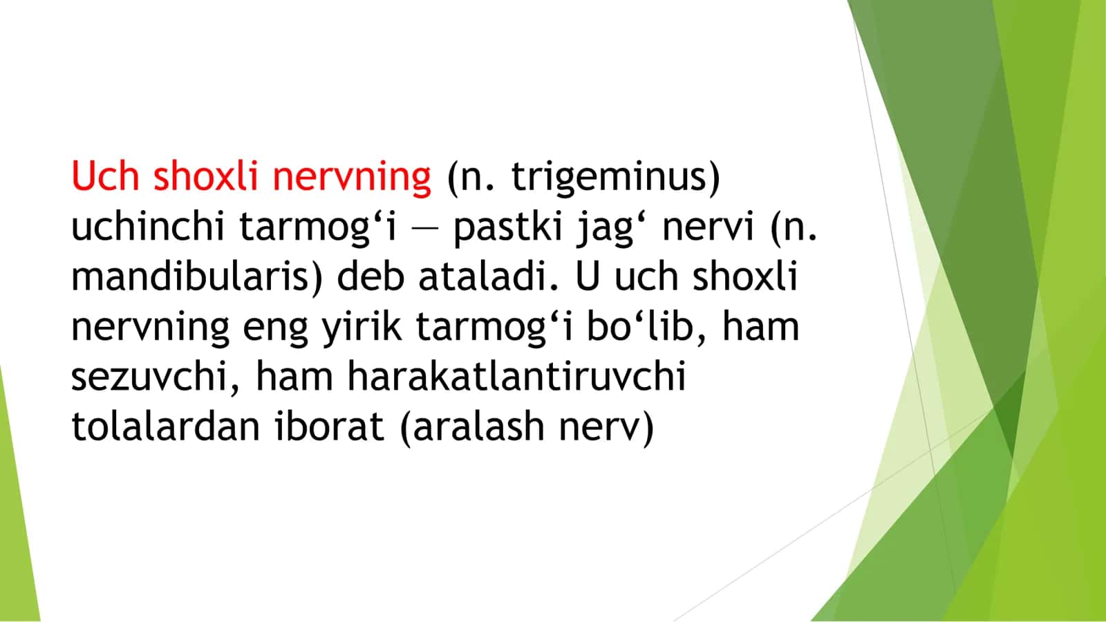 Yurak qon tomir tizimi tuzilishi bolaning ogʻiz boʻshligʻi 2