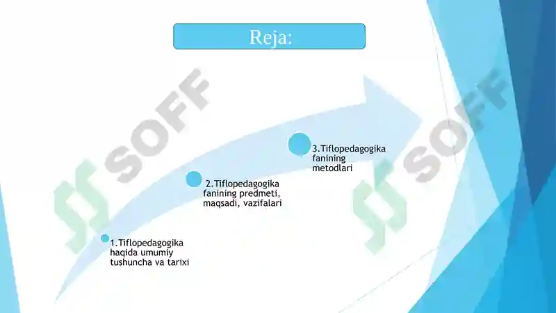 Tiflopedagogika 2