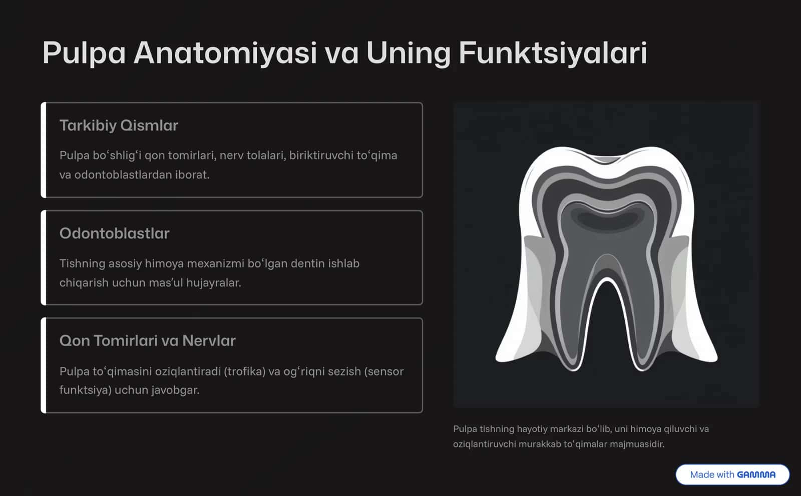 O'tkir Pulpitning Patologik Anatomiyasi va Fiziologiyasi 2
