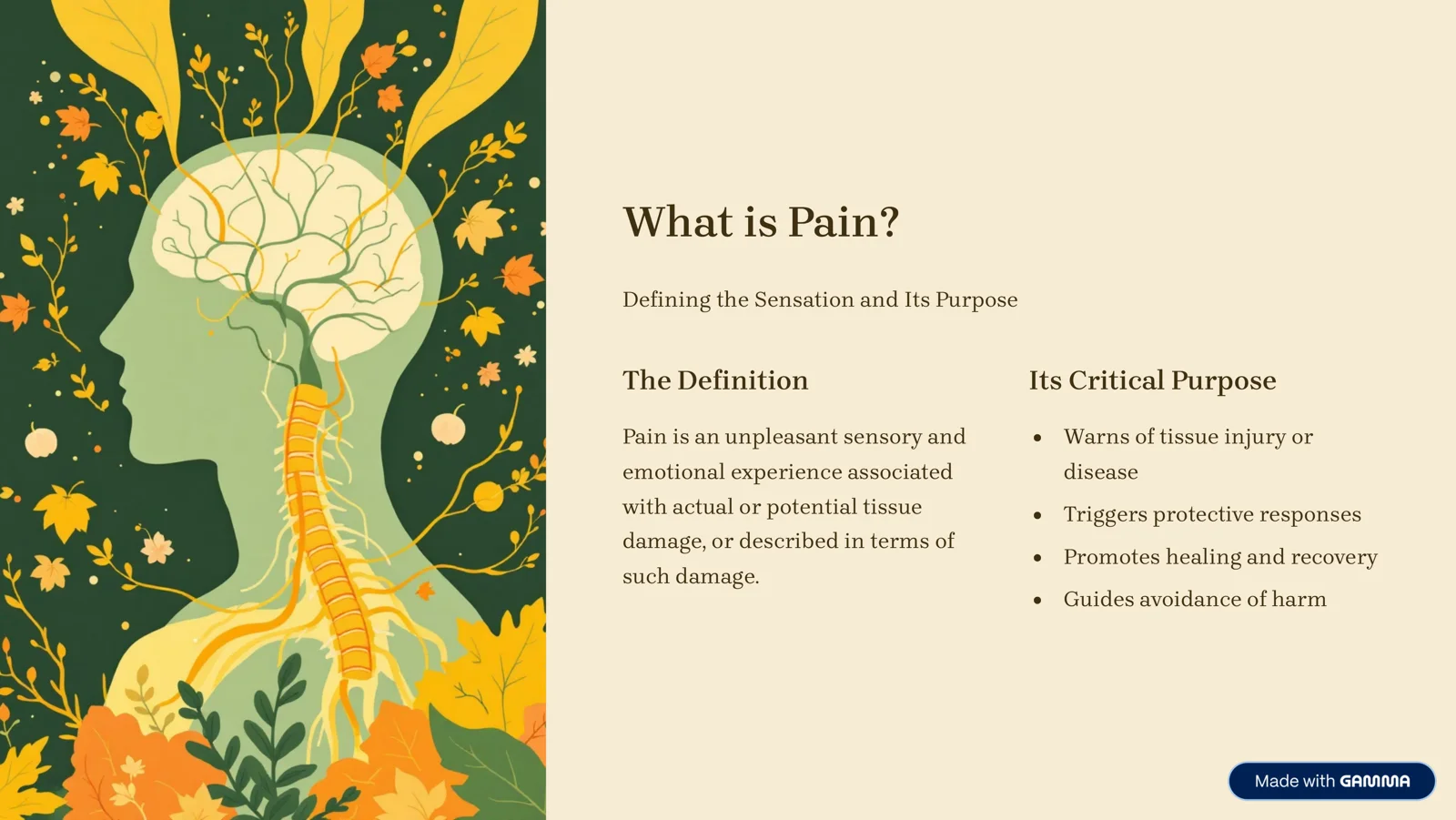 Understanding Pain 2