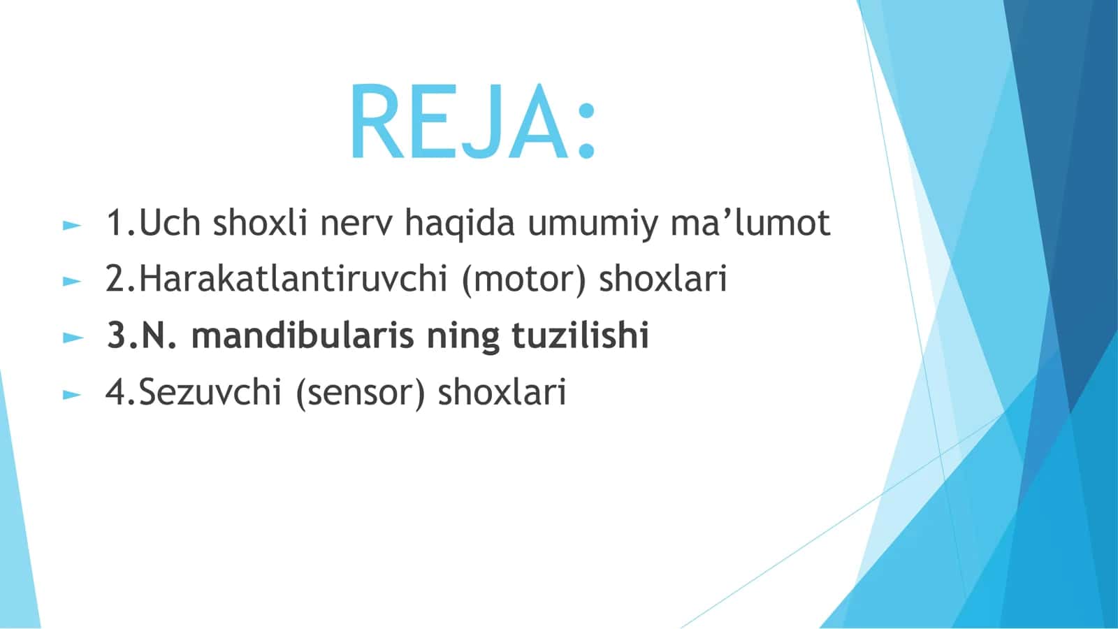 Uch shoxli nerv, uchinchi shoxini tuzulishi va uning innervatsiya zonalari 2
