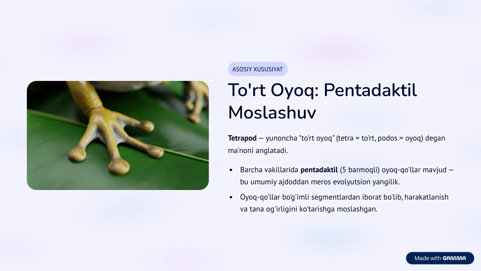 Tatrapoda: Quruqlikda Hayotga Moslashish Sirlari 3