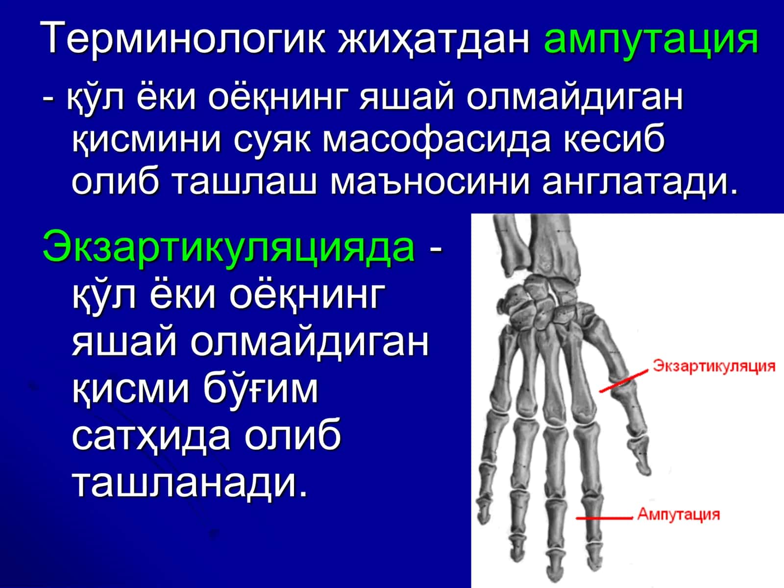 Ампутация ва Экзартикуляциялар 3