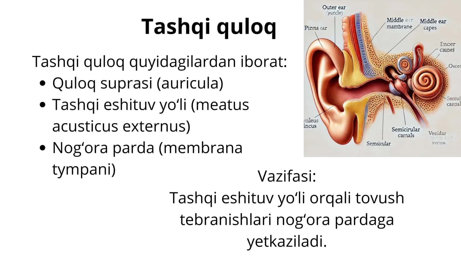 Eshituv analizatori 3
