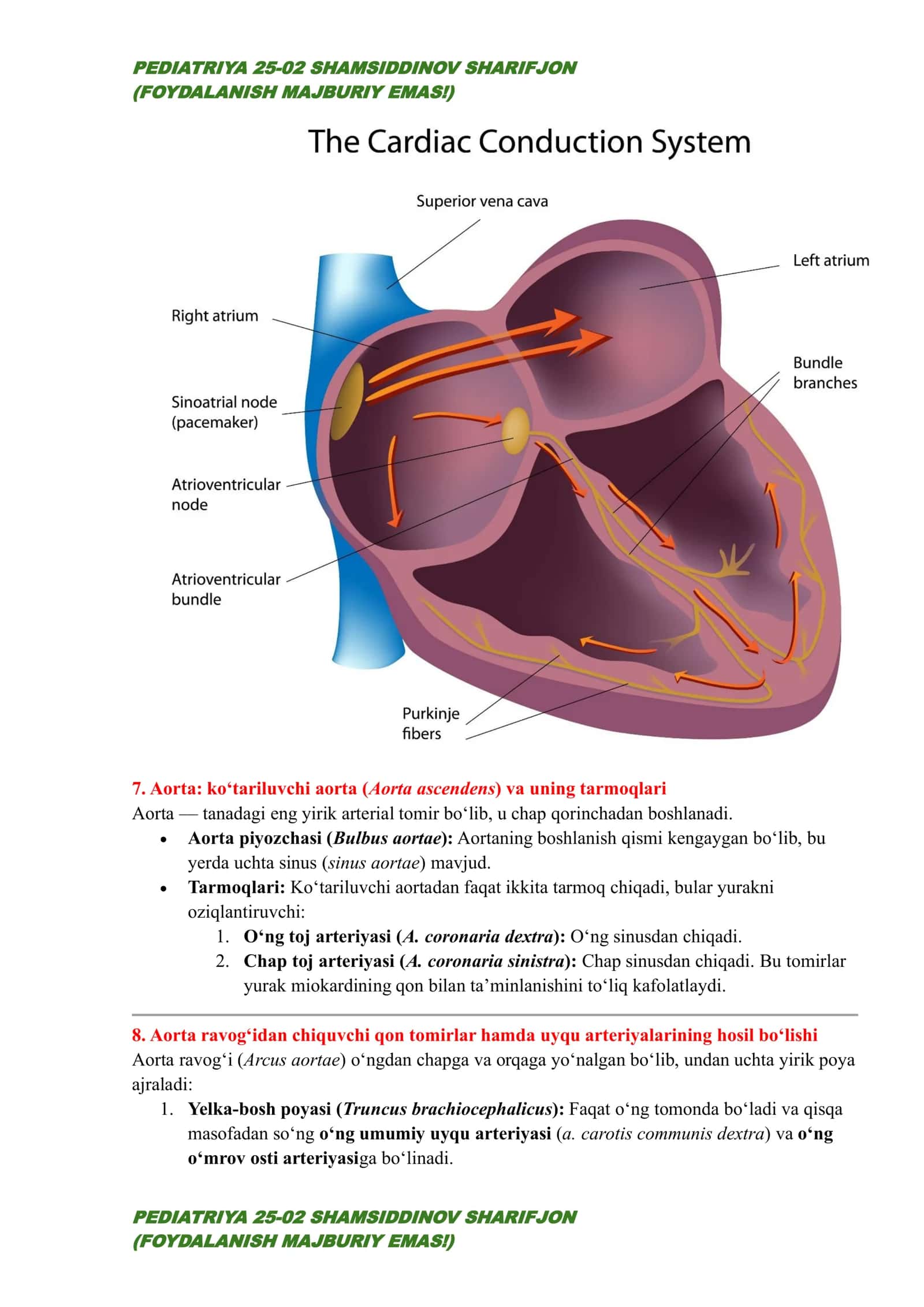 Yurak-qon tomir tizimi: arteriya (arteriola), vena (venula) va kapillyar haqida tushuncha 3