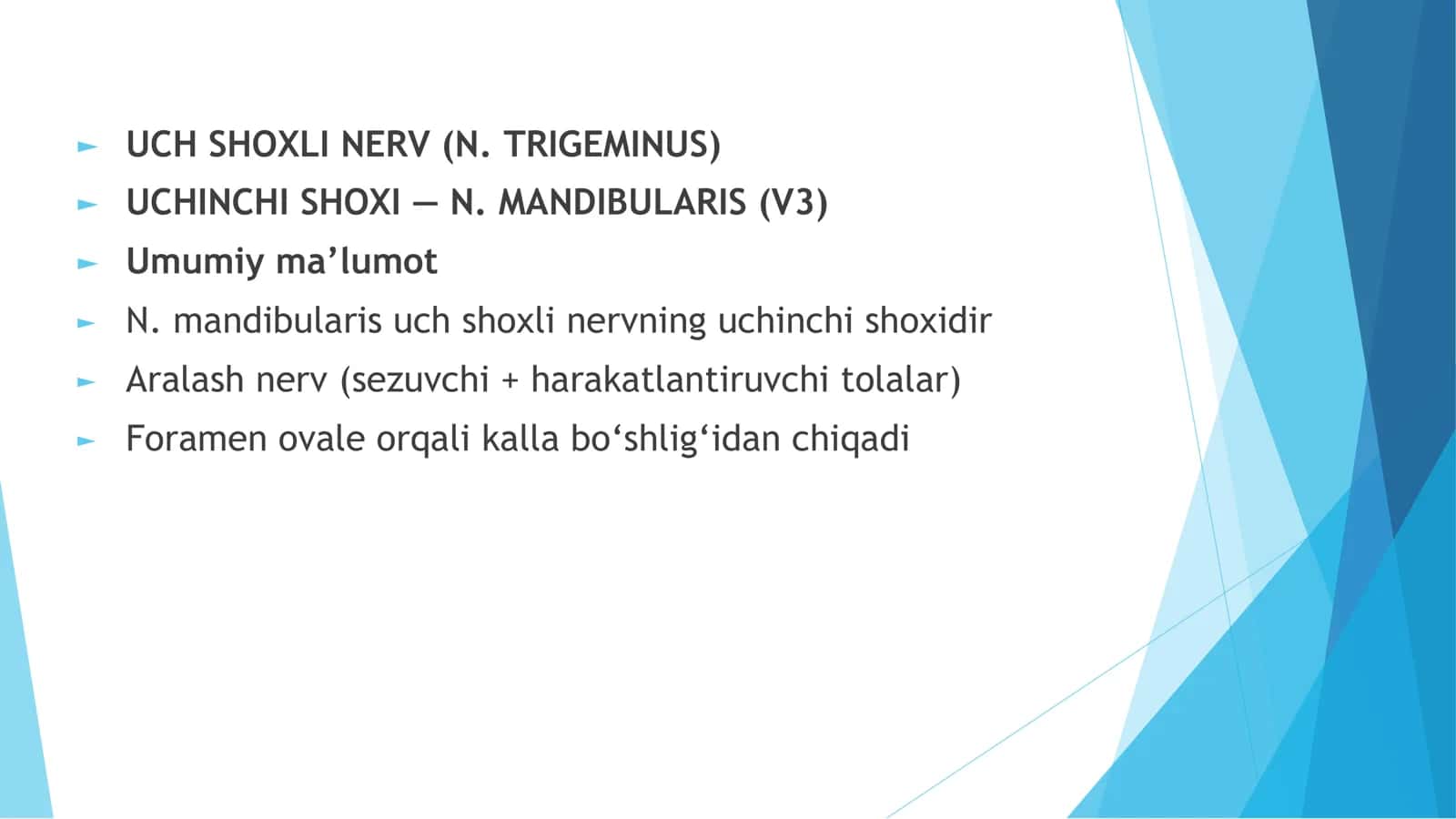 Uch shoxli nerv, uchinchi shoxini tuzulishi va uning innervatsiya zonalari 3