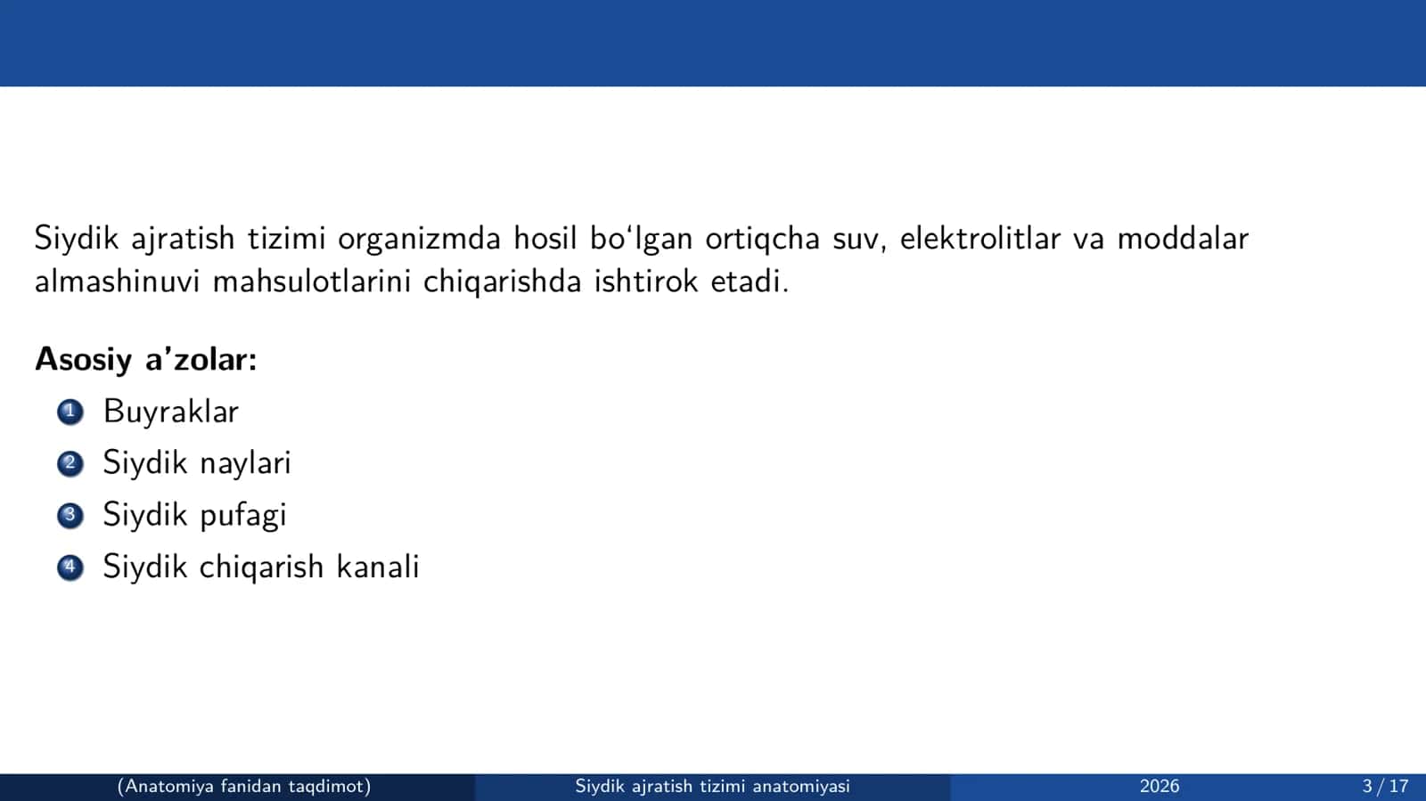 Siydik ajratish tizimi anatomiyasi 3