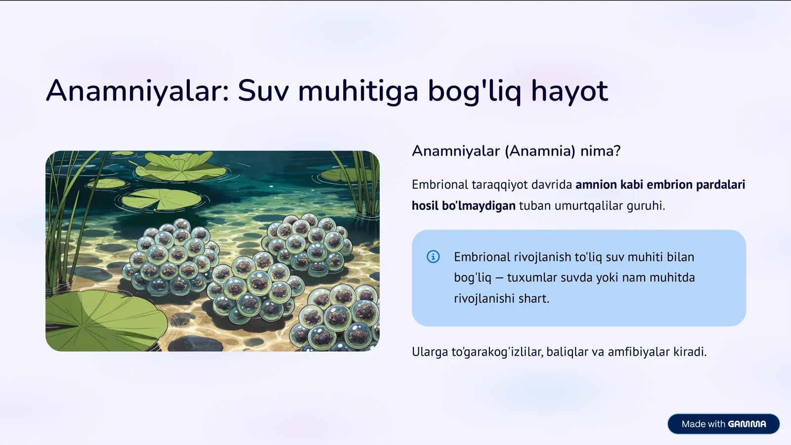 Umurtqalilar dunyosi: Anamniyalar va Amniotalar 3