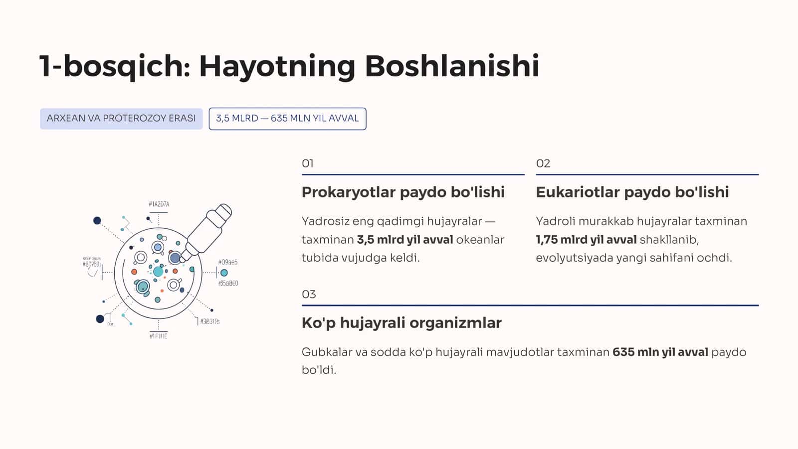 Yer Hayotining Rivojlanish Bosqichlari 3