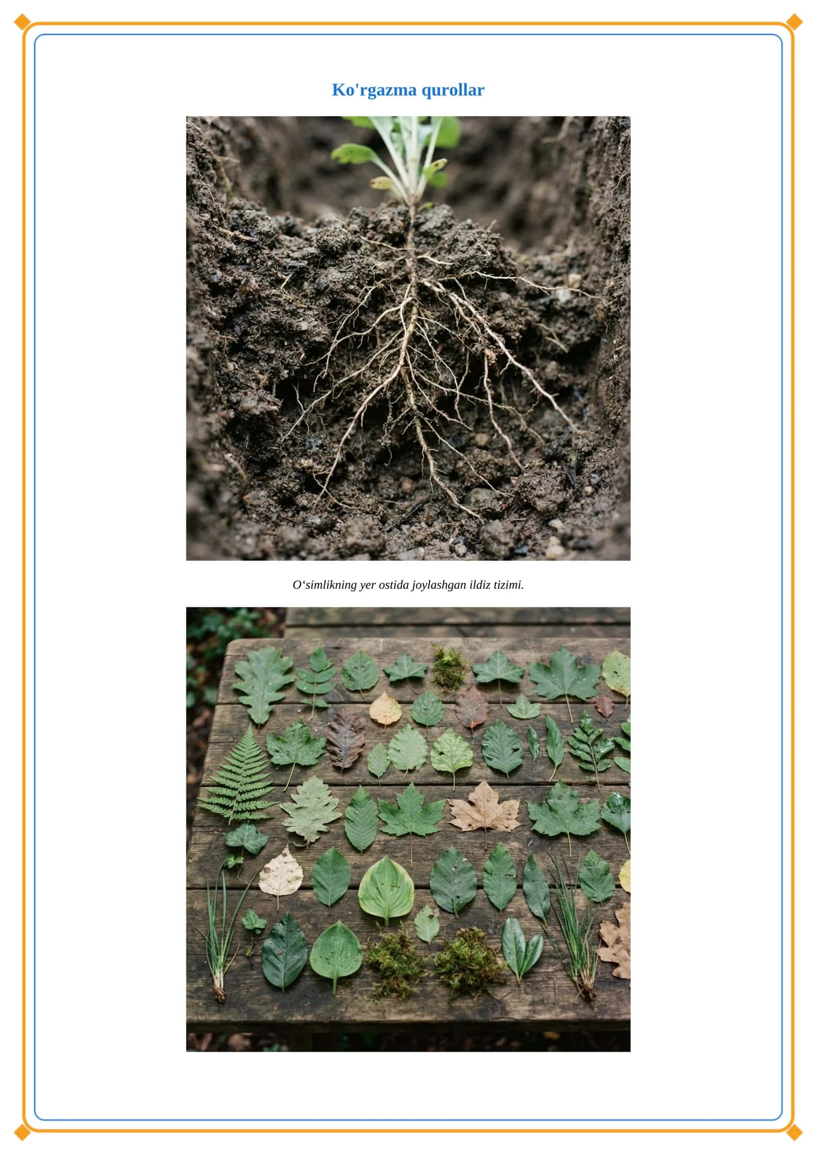 Biologiya fanidan "O‘simliklarning tuzilishi" dars ishlanmasi 3