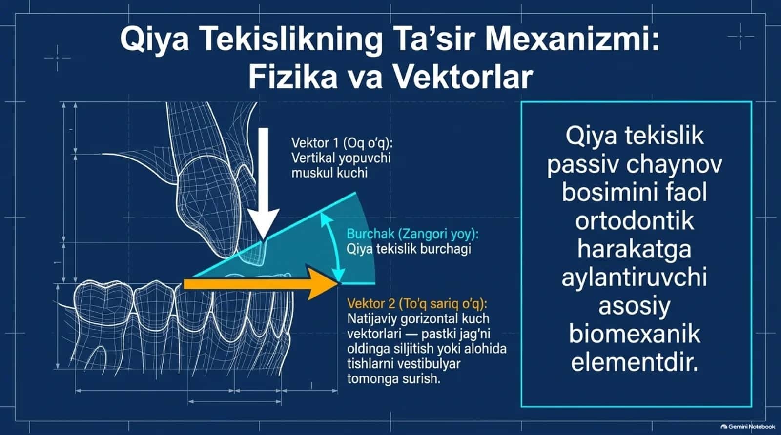 ortodontiya 3