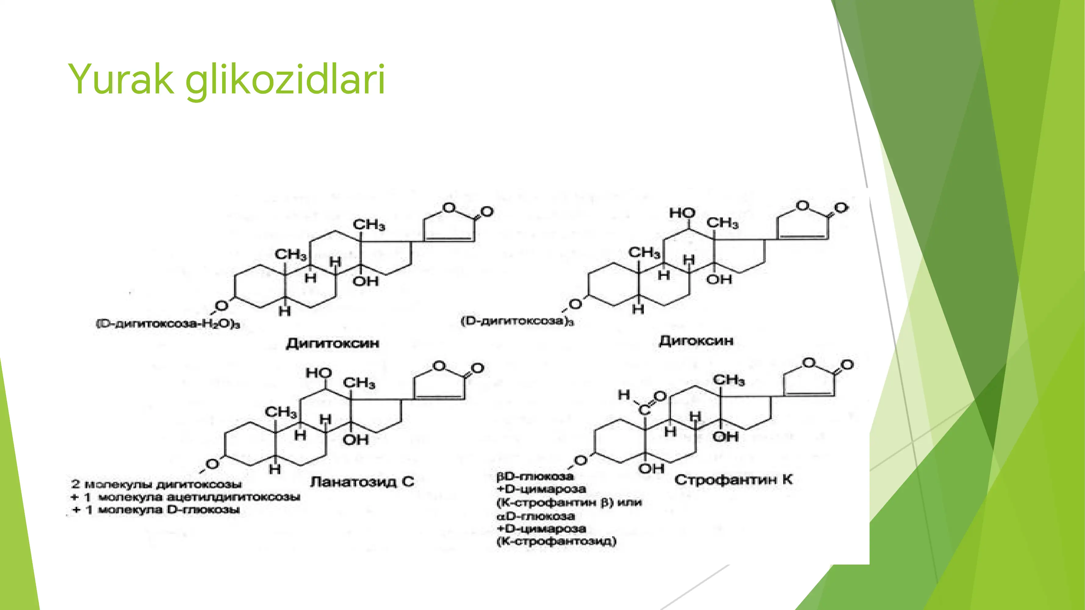 yurak glikozit 3