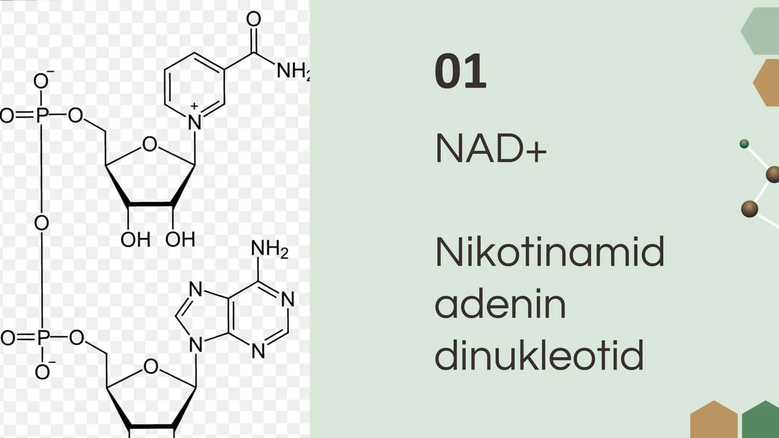 Nukleotid tabiatli kofermentlar. NAD+, NADF+ va FAD. 3