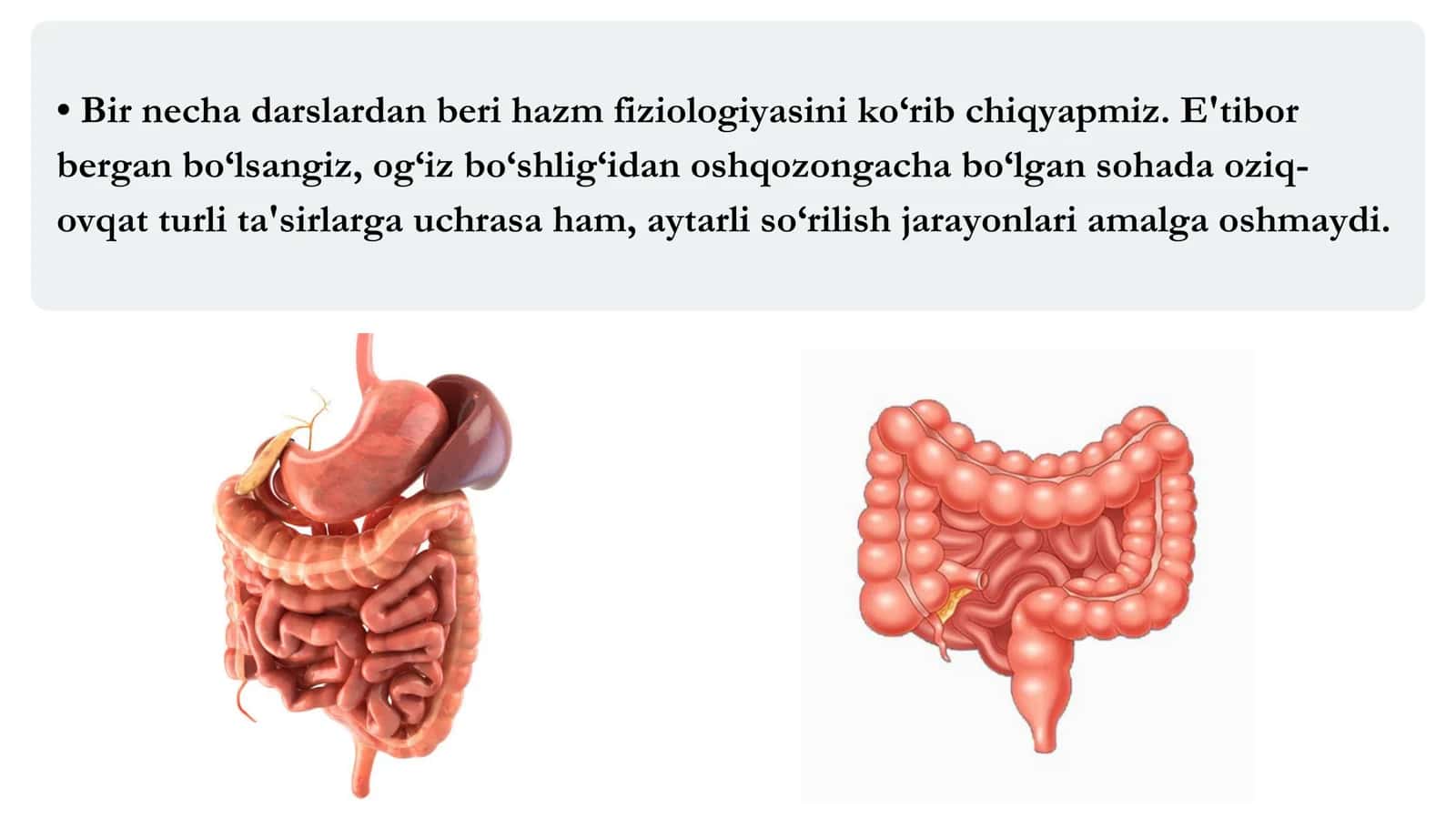 Intensiv fiziologiya 3