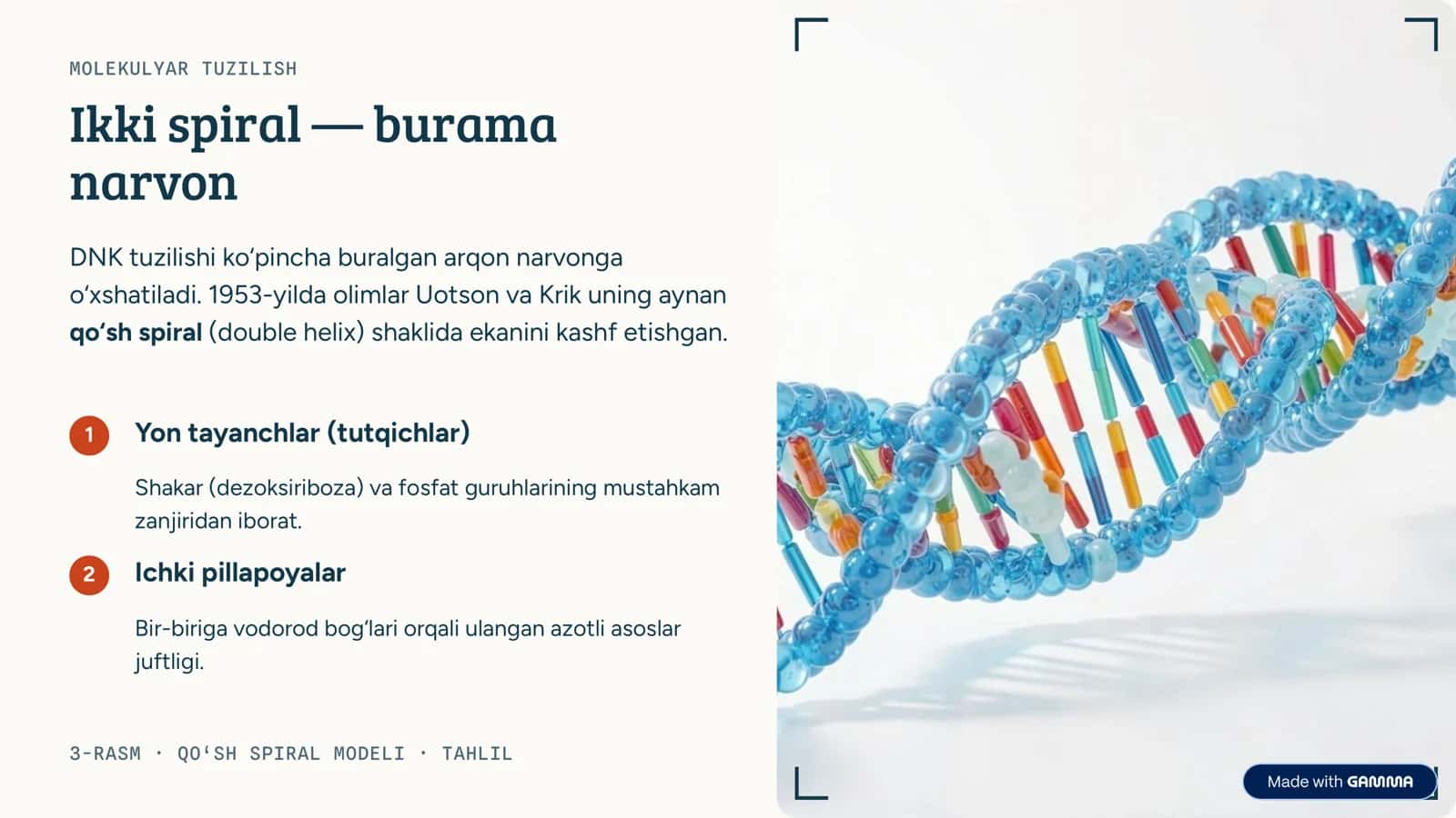 DNK: hayotning axborot kodi Biologiya darsi · 9-sinf o‘quvchilari uchun qo‘llanma 3