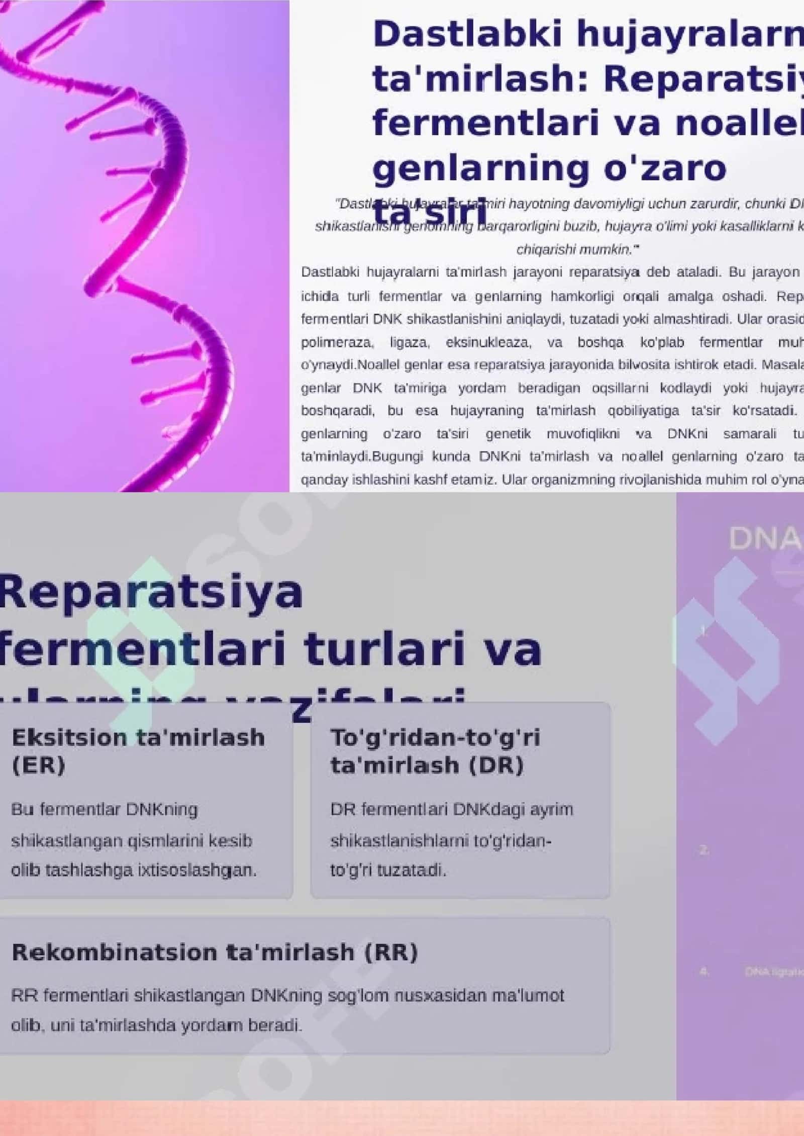 Reparatsiya fermentlar faolligining xilma-xilligi 3