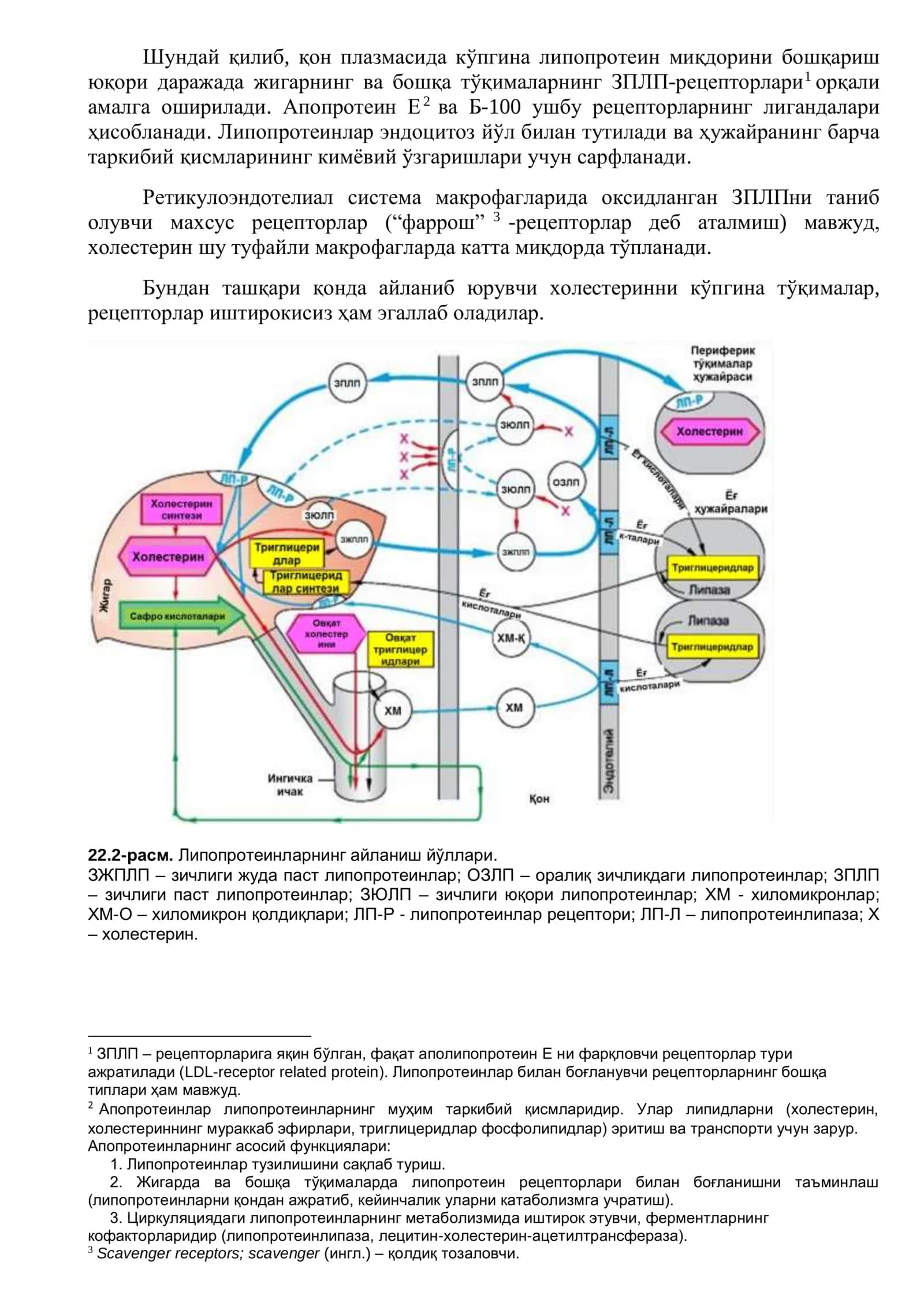 ГИПЕРЛИПОПРОТЕИНЕМИЯДА ҚЎЛЛАНИЛАДИГАН ДОРИ ВОСИТАЛАР (АТЕРОСКЛЕРОЗГА ҚАРШИ ВОСИТАЛАР) 3