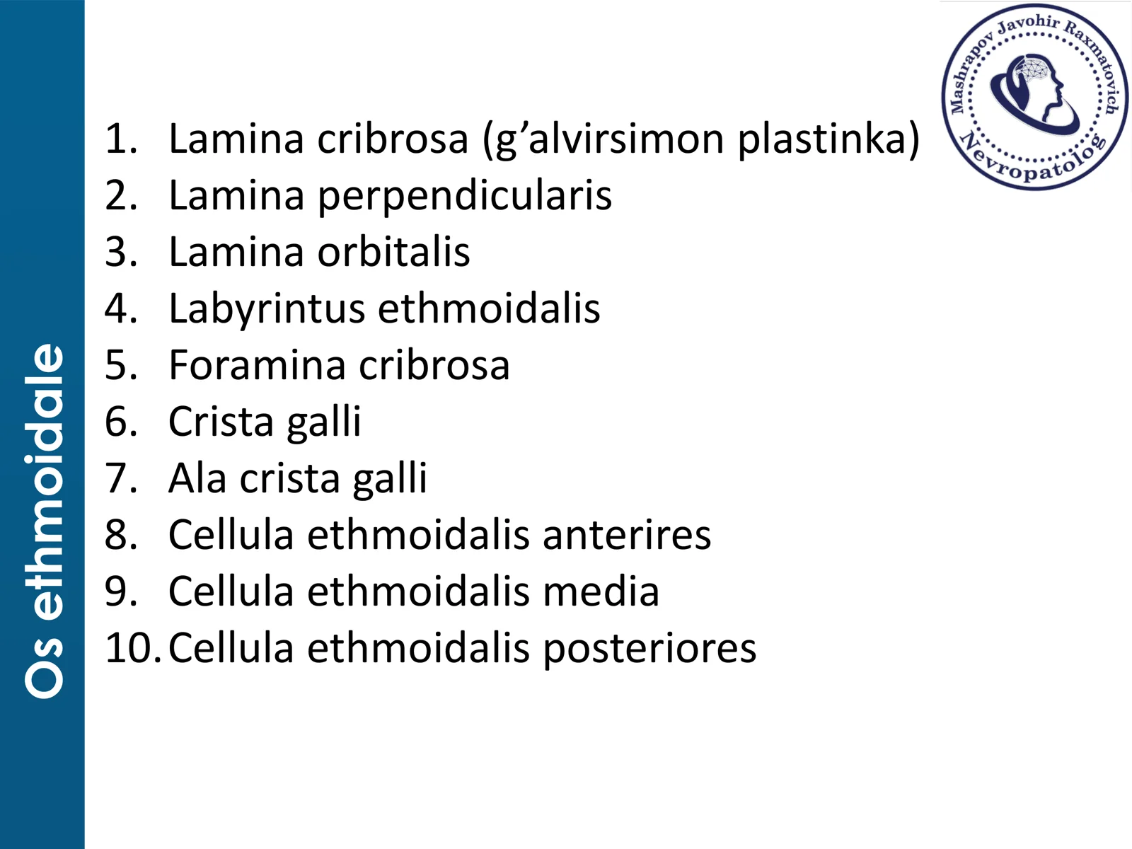 Bosh Suyaklar Anatomiyas 3