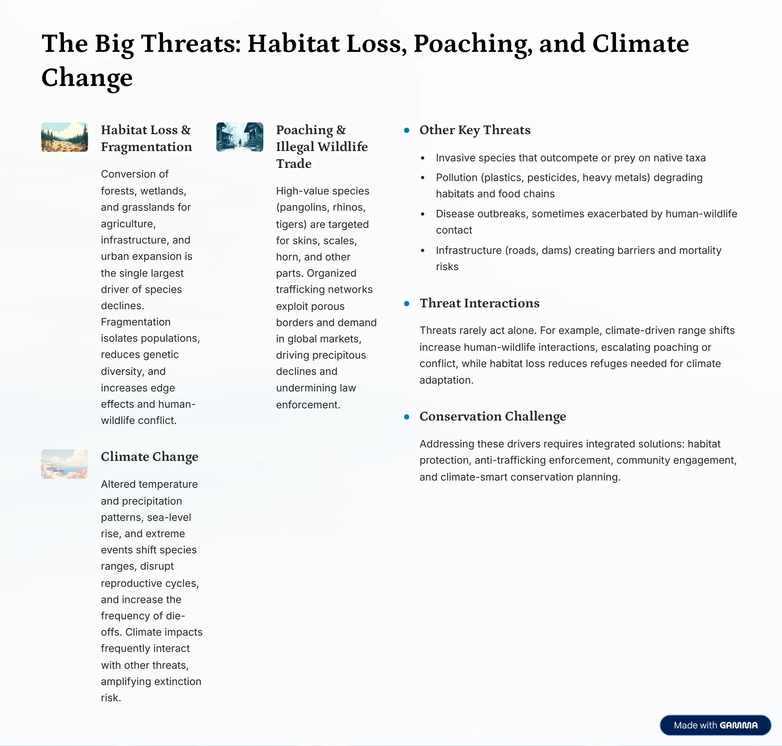 The Silent Extinction: Understanding Endangered Animals 3