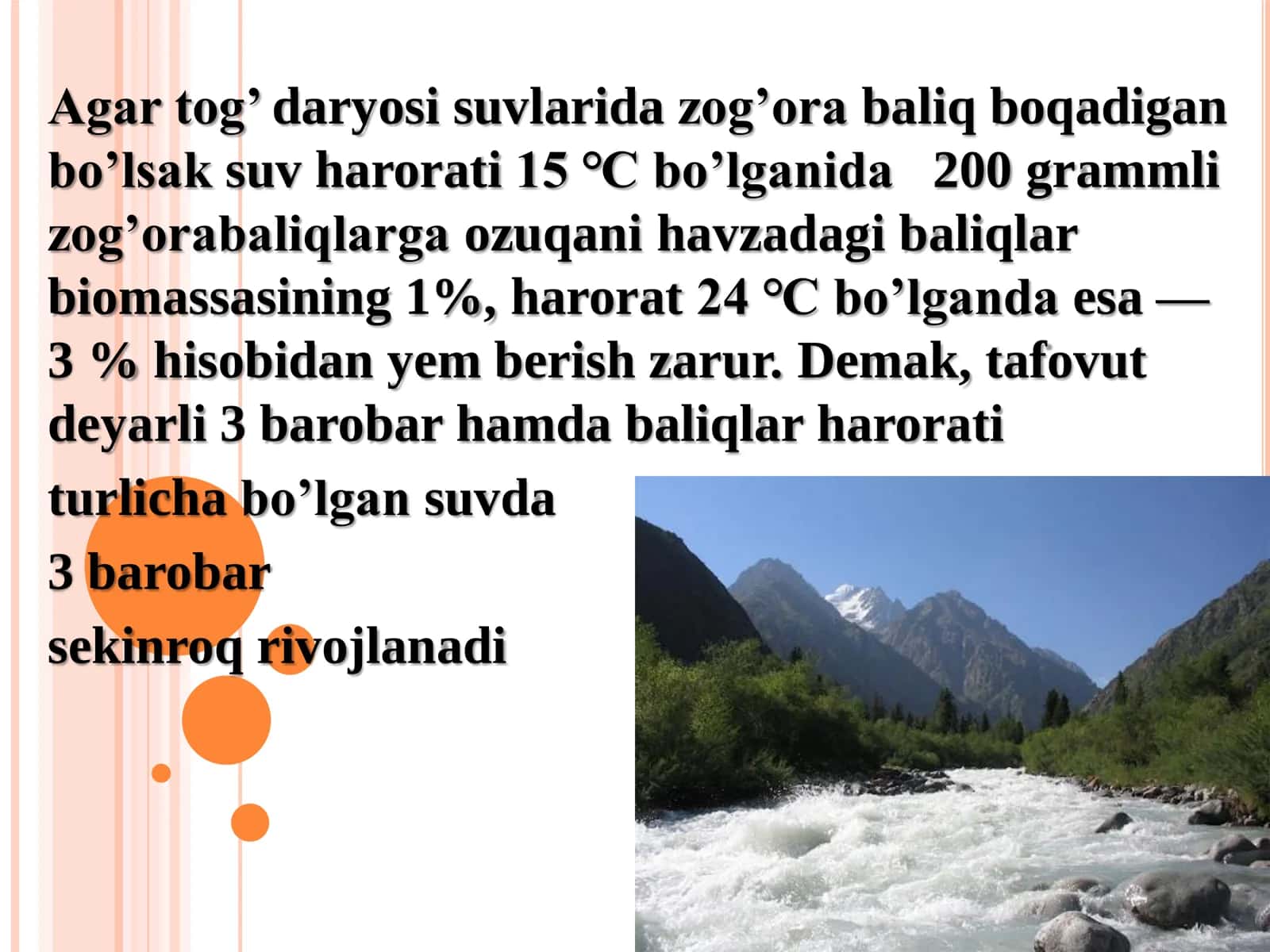 FOREL BAL 3