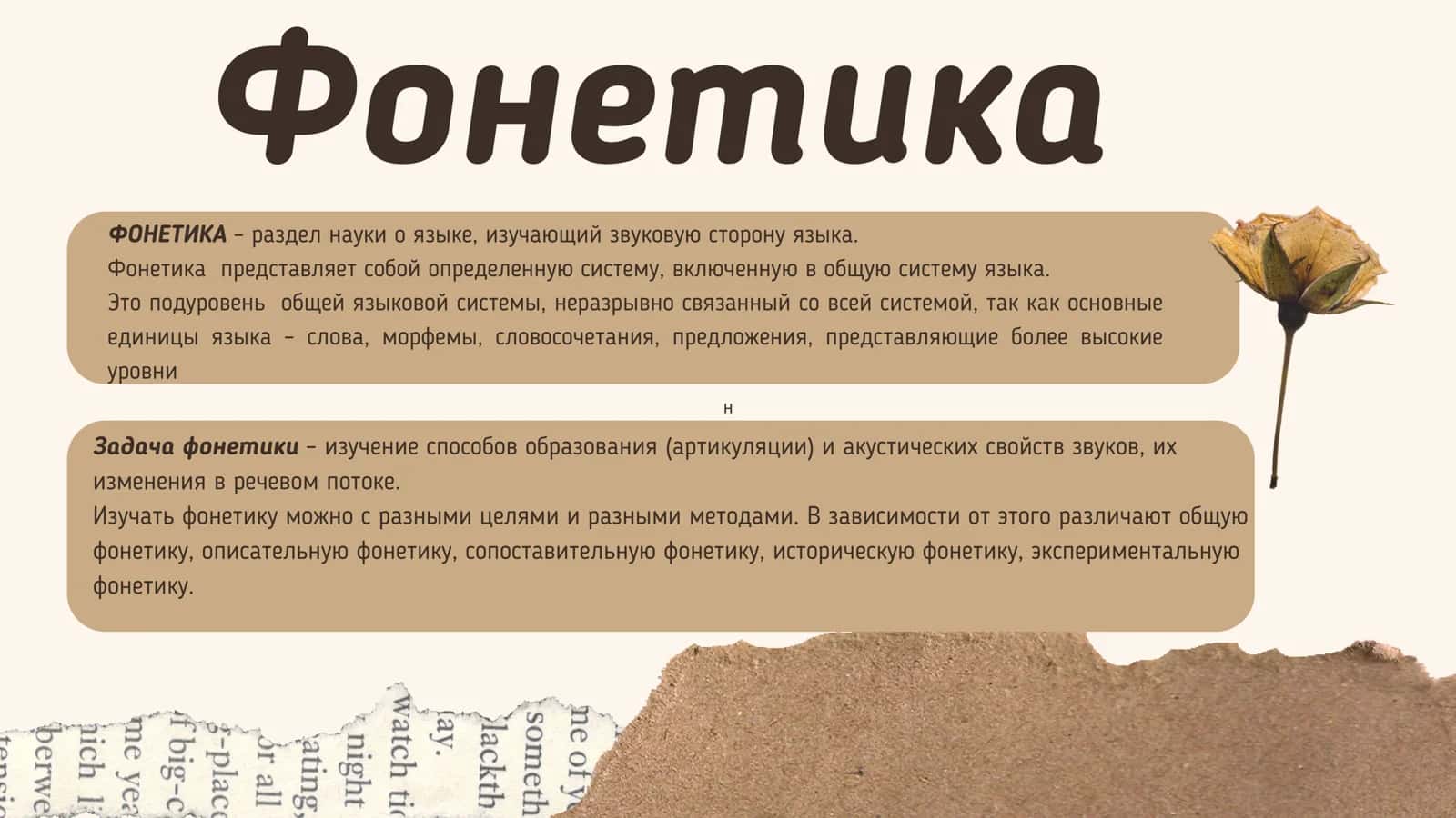 Предмет фонетики Единица фонетики 3