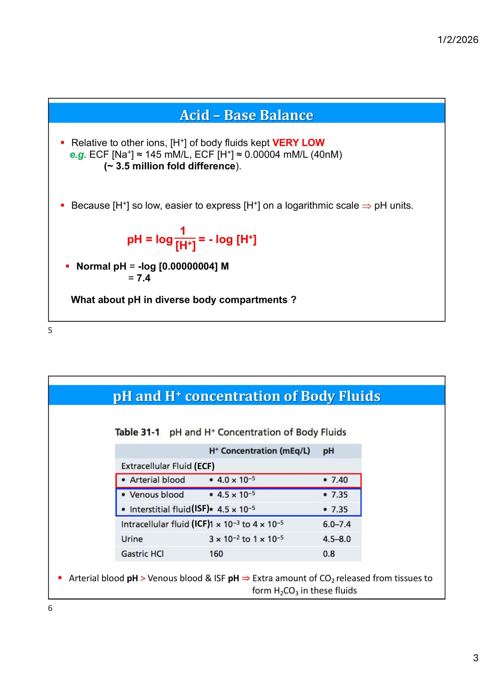 Acid-Base Balance Regulation 3